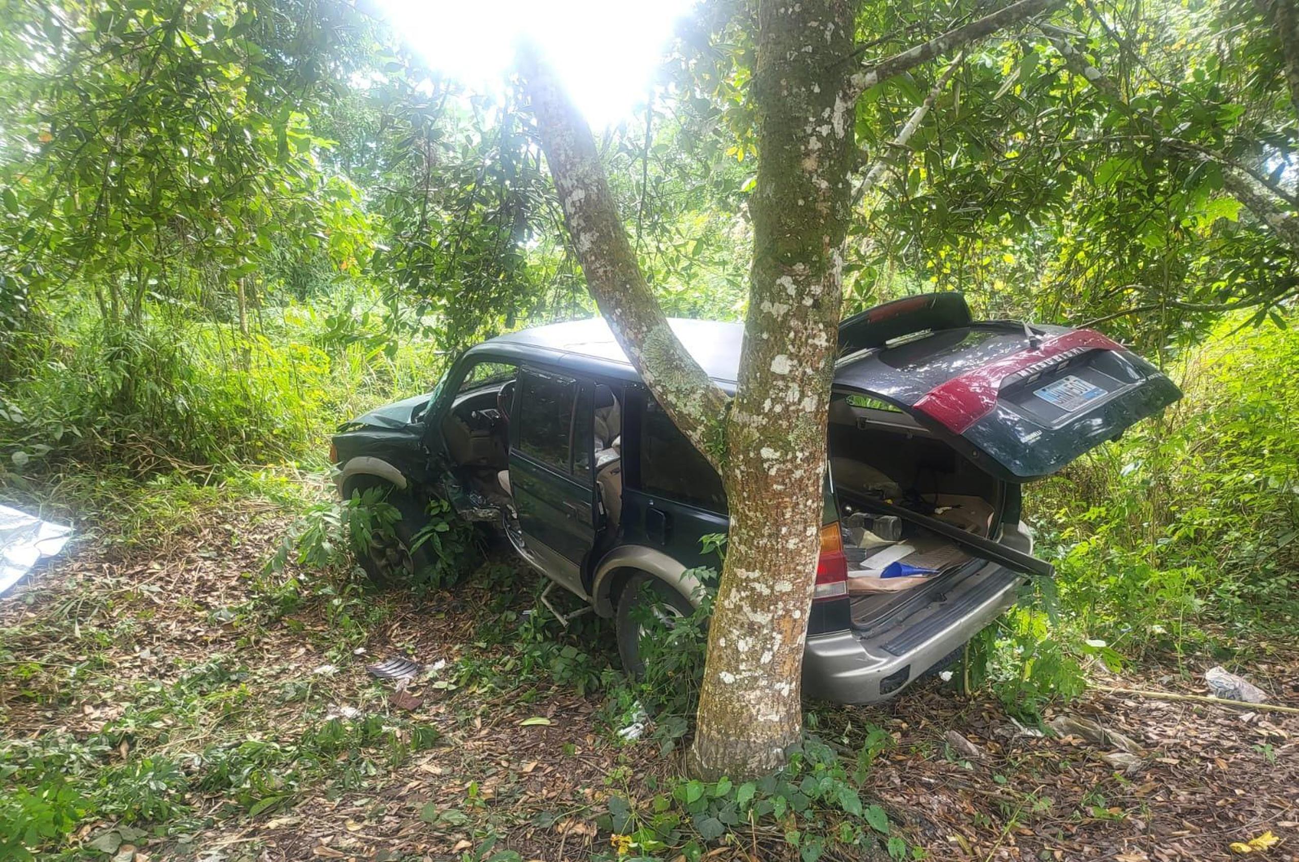 El conductor de la guagua fue impactado por una motora y perdió el control del volante chocando con el árbol.
