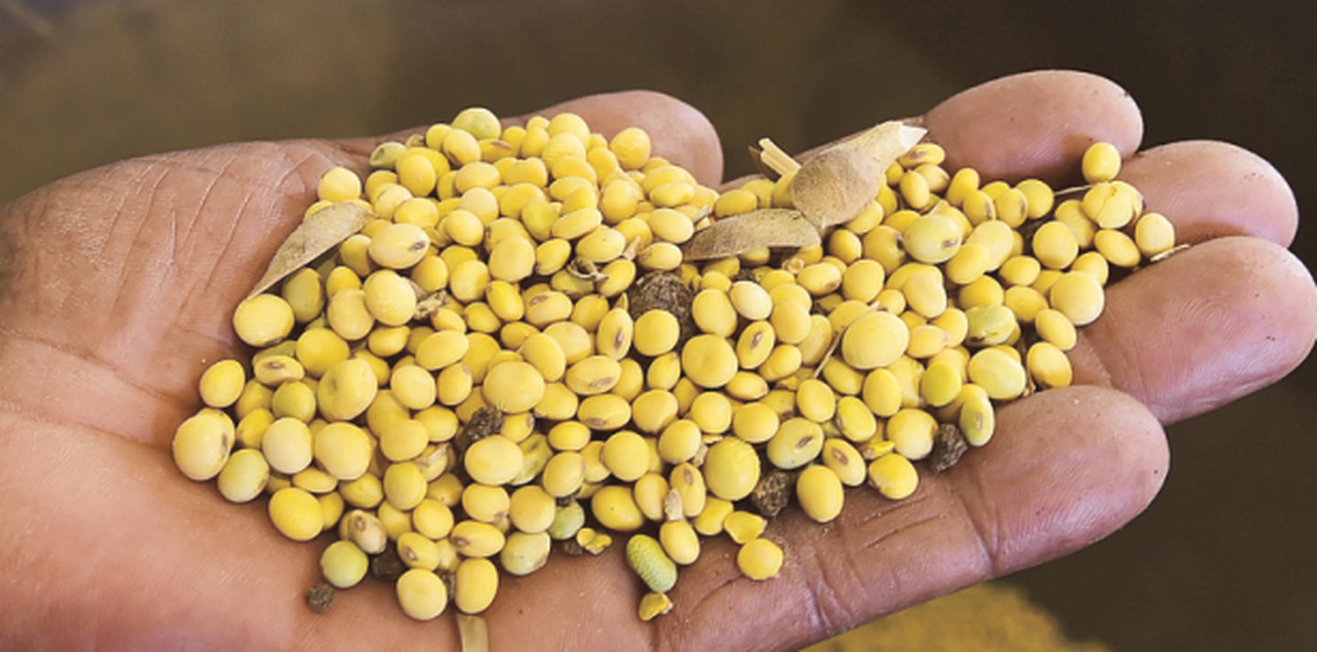"Monsanto es una combinación perfecta para nuestro negocio agrícola", explicó el director ejecutivo de la empresa.