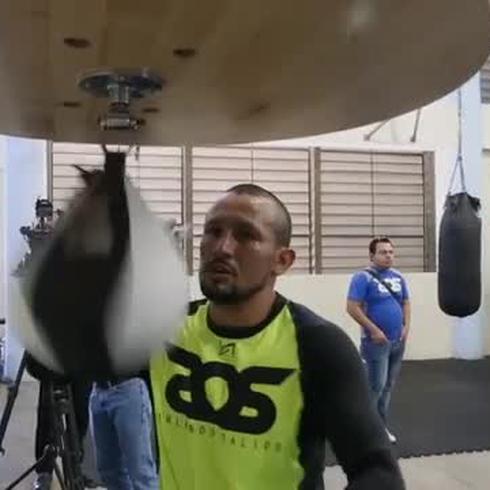 Orlando Salido entrena a días de su combate contra Rocky Martínez
