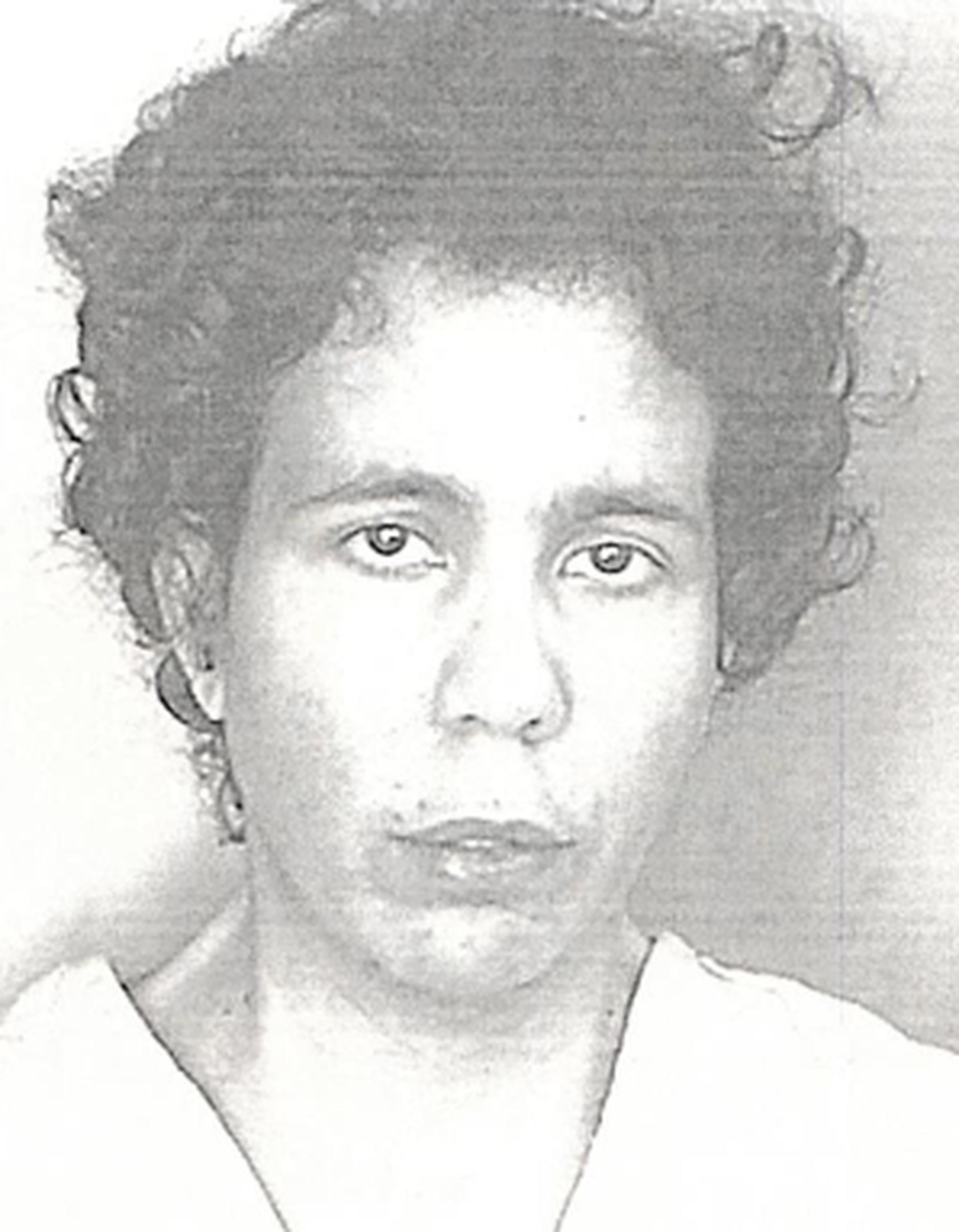 La imputada fue identificada como Carmen I. Torres Rosa, de 39 años. (Suministrada)