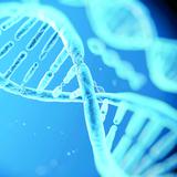 OMS emite sus primeras recomendaciones para manipular el genoma humano
