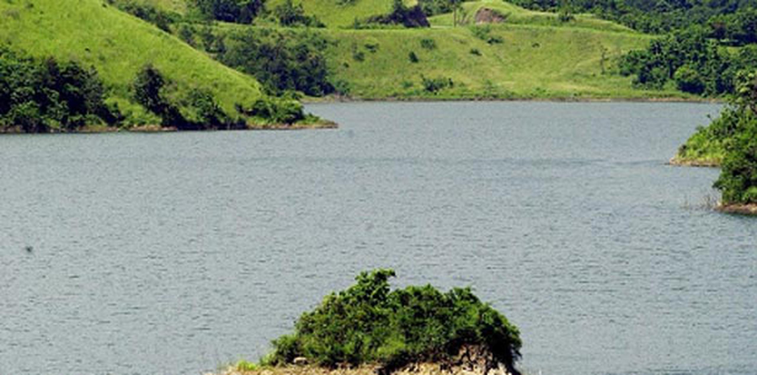 El lago Cerrillos pertenece al Departamento de Recursos Naturales y Ambientales (DRNA). (Archivo)