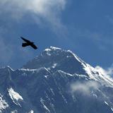 Estadounidense y suizo mueren escalando el Everest