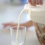 Lanzan certificación para mejorar producción de leche