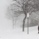 Tormenta invernal en Estados Unidos cobra la vida de una treintena de personas 