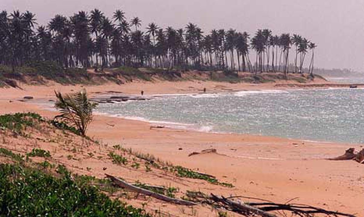 Recogen tres toneladas de basura en playas de Piñones y Vacía Talega ...