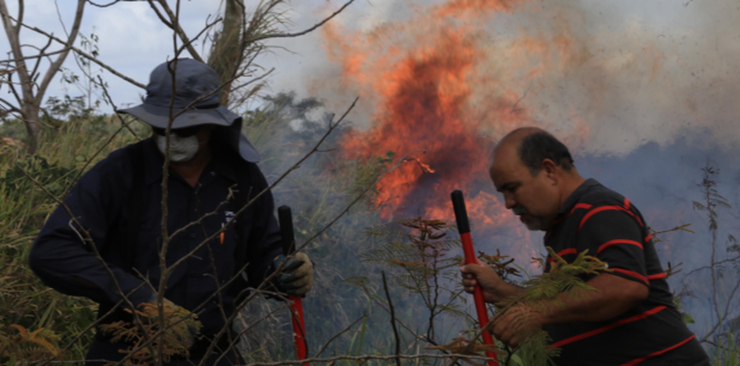 Aún quedan segmentos en llamas y humo entre las 200 cuerdas de terreno afectadas por el incendio que comenzó ayer en Gurabo. (angel.rivera@gfrmedia.com)