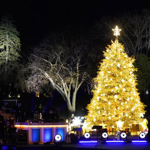 Fotos: Encienden el inmenso árbol nacional de Navidad en la Casa Blanca