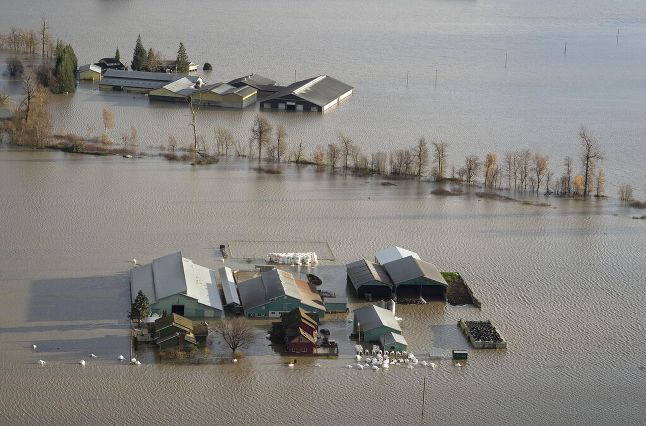 Una granja inundada en Abbotsford, Columbia Británica, el 16 de noviembre de 2021.