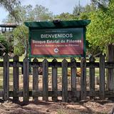 Gobierno y comunidades se integran en el manejo y protección del Bosque de Piñones