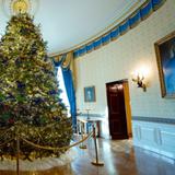 Jill Biden engalana la Casa Blanca con más de 70 árboles de Navidad y 83,000 luces
