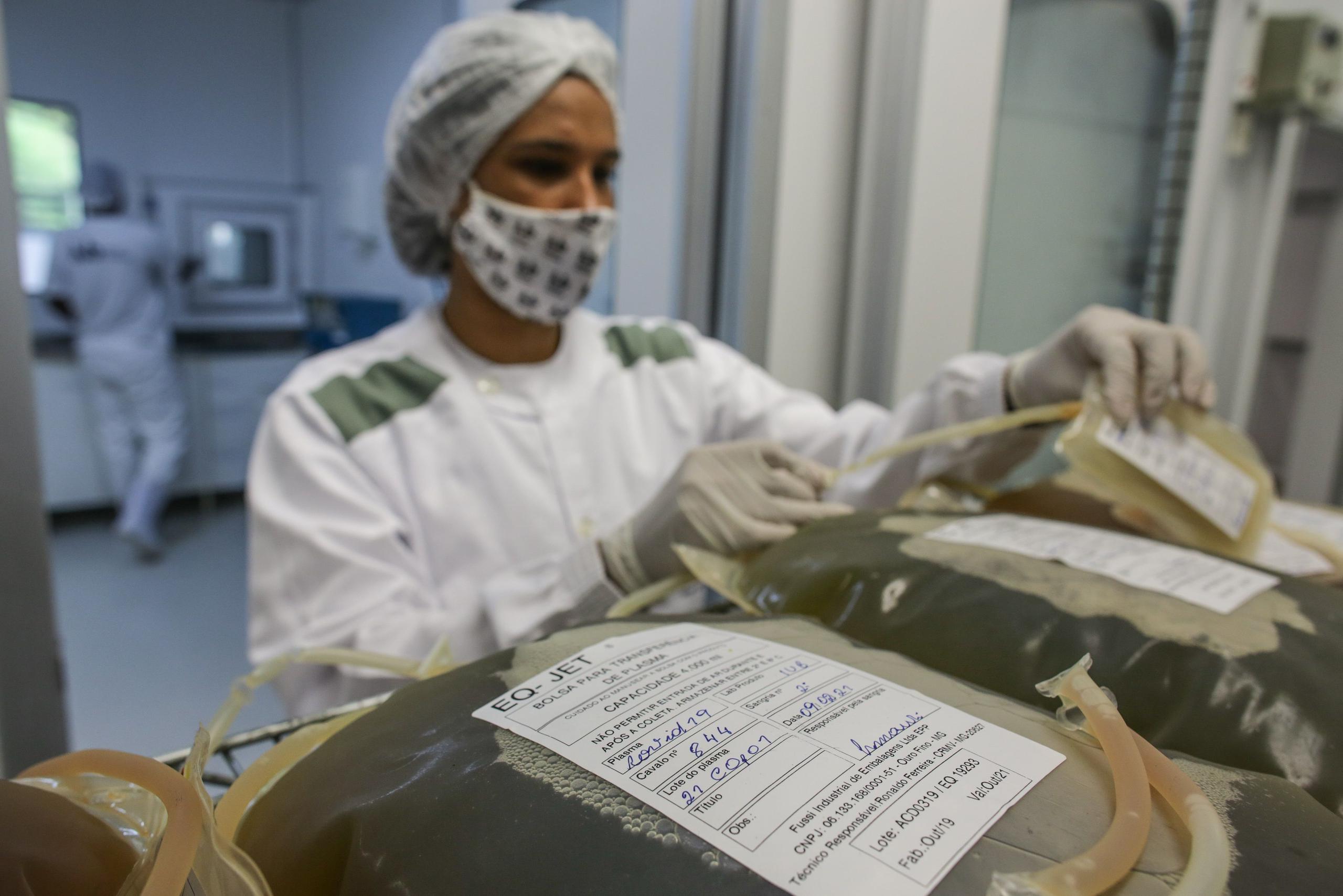 Una experta revisa bolsas con plasma sanguíneo de caballo utilizadas en una investigación sobre coronavirus, el 26 de abril de 2021 en la Granja Vital Brazil de Niterói (Brasil).
