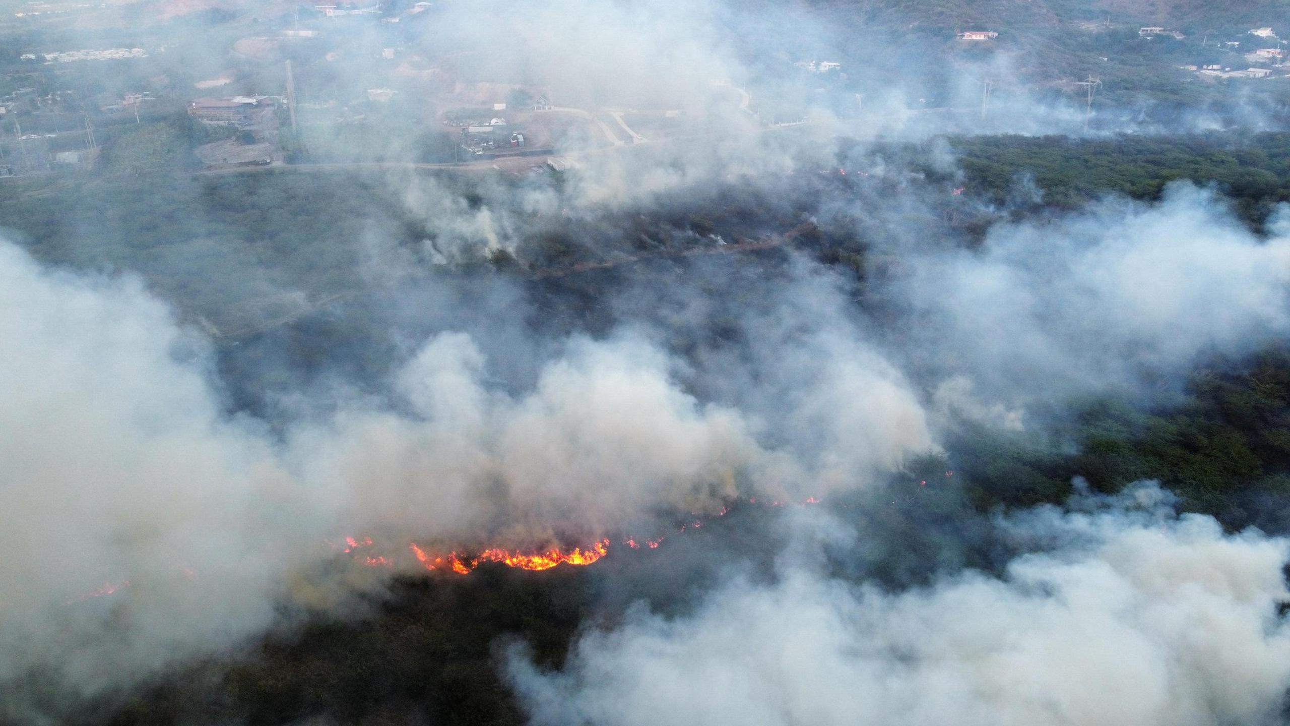Bomberos controlaron el lunes este fuego forestal que se desarrolló en el barrio Paso Seco en Santa Isabel.