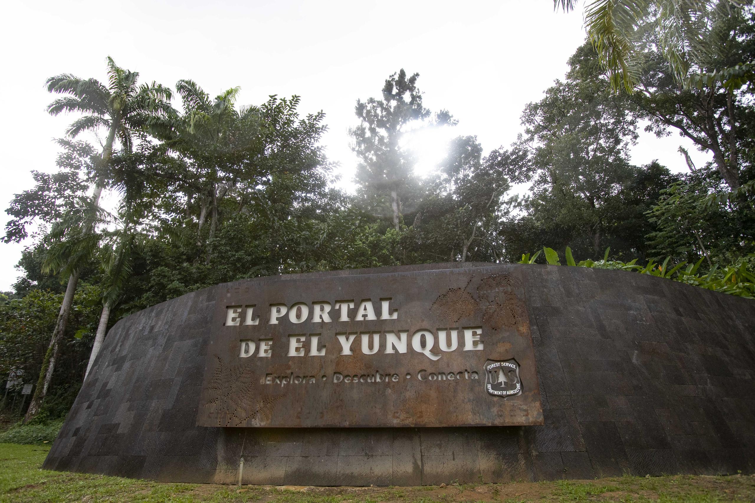 La orientación se efectuará el próximo jueves, 9 de noviembre de 2023, de 10:00 a.m. a 12:00 p.m., en la Sede Solidaria, ubicada en el centro de visitantes El Portal de El Yunque.
