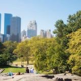 Nueva York pagará $5 millones a mujer que le cayó frondoso árbol en Central Park