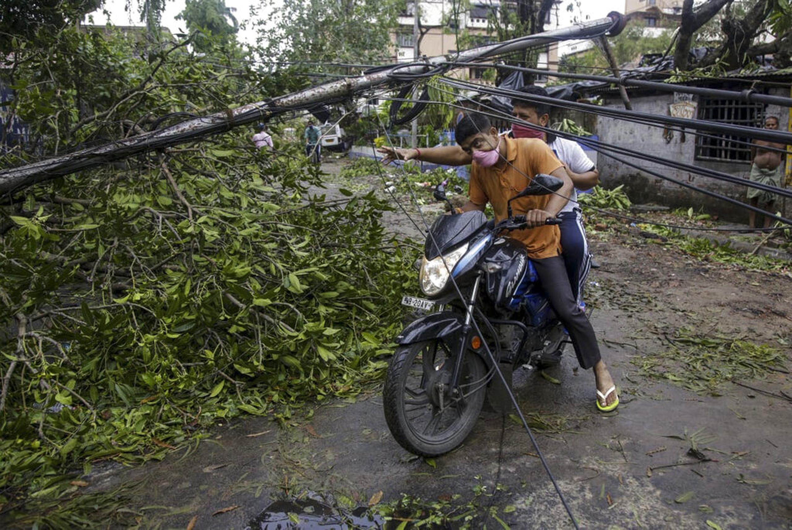 Árboles y postes caídos en Kolkata, India.