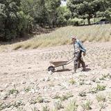 Brindarán ayuda a agricultores para solicitar los fondos federales del CFAP