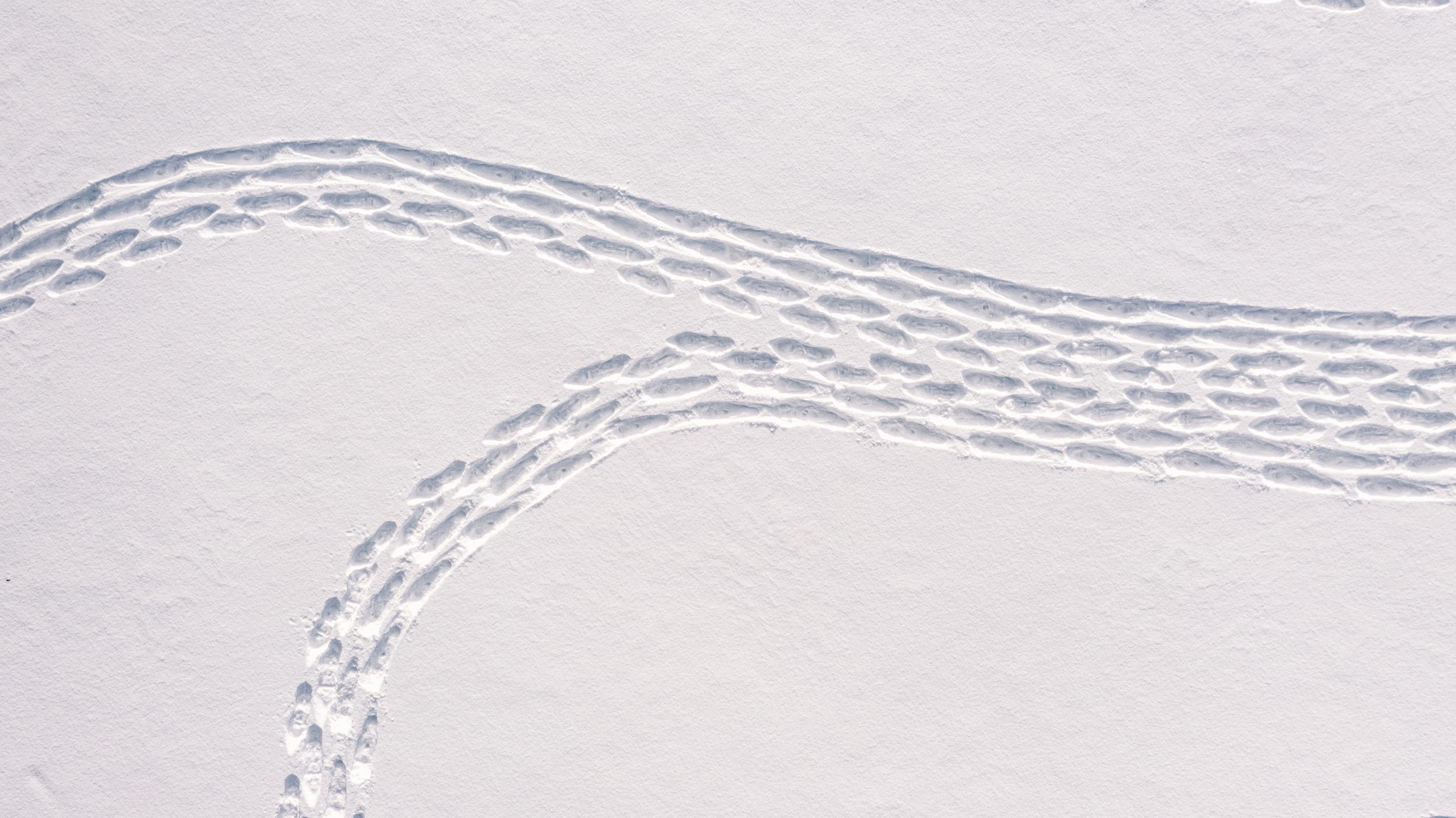 La obra de arte en la nieve cerca de Helsinki, Finlandia, fue creada con cientos de estos pasos.