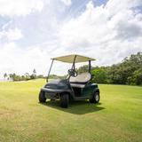 Investigan hurto de carrito de golf de hotel en Río Grande 