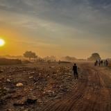 Robo de 7,000 vacas termina con 22 muertos en Sudán del Sur