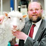 A 25 años de la clonación de la oveja Dolly