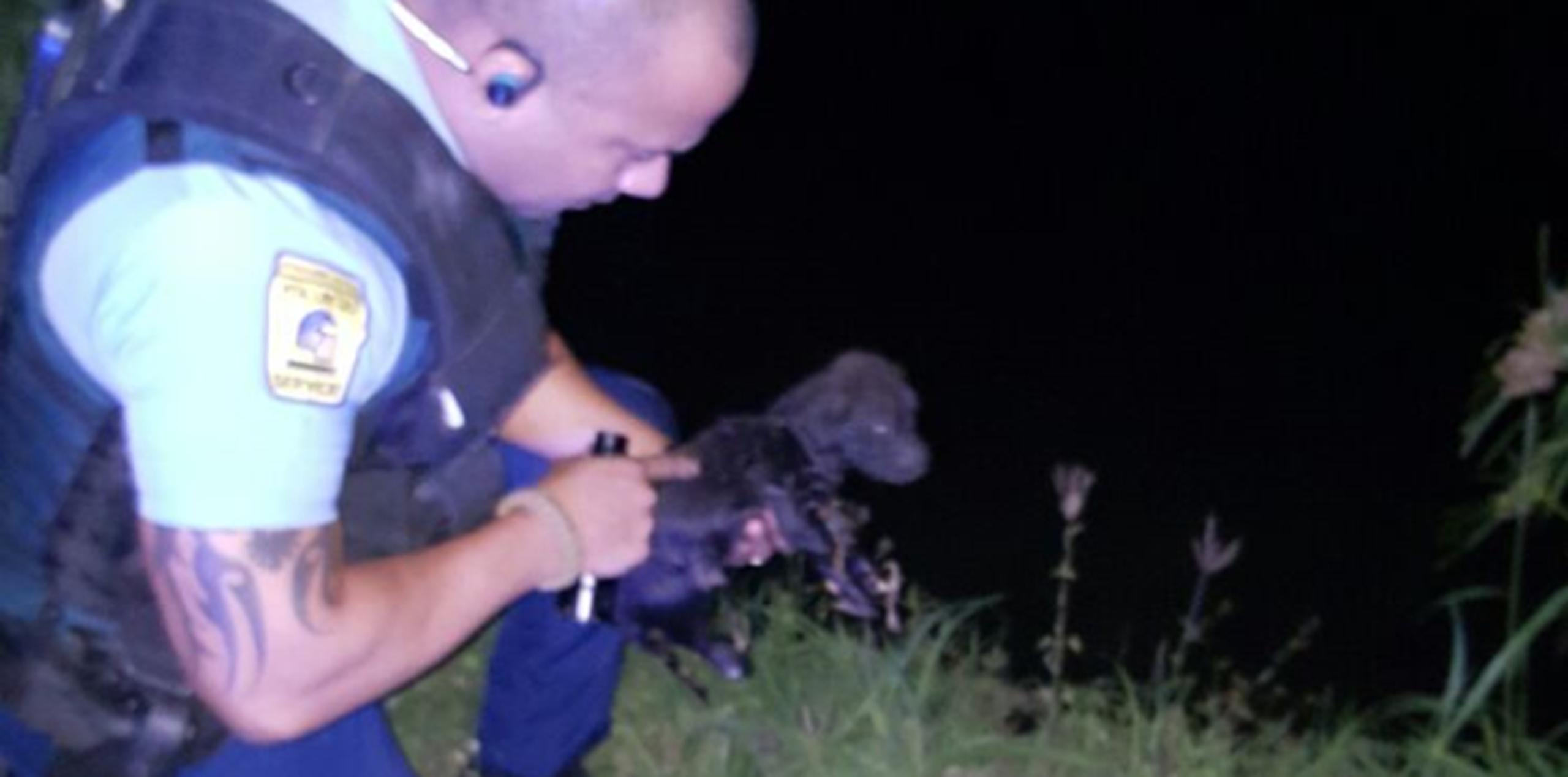 Rescatan perrito en Ponce - Primera Hora