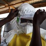 Organización Mundial de la Salud alerta sobre epidemia de ébola en África Occidental 