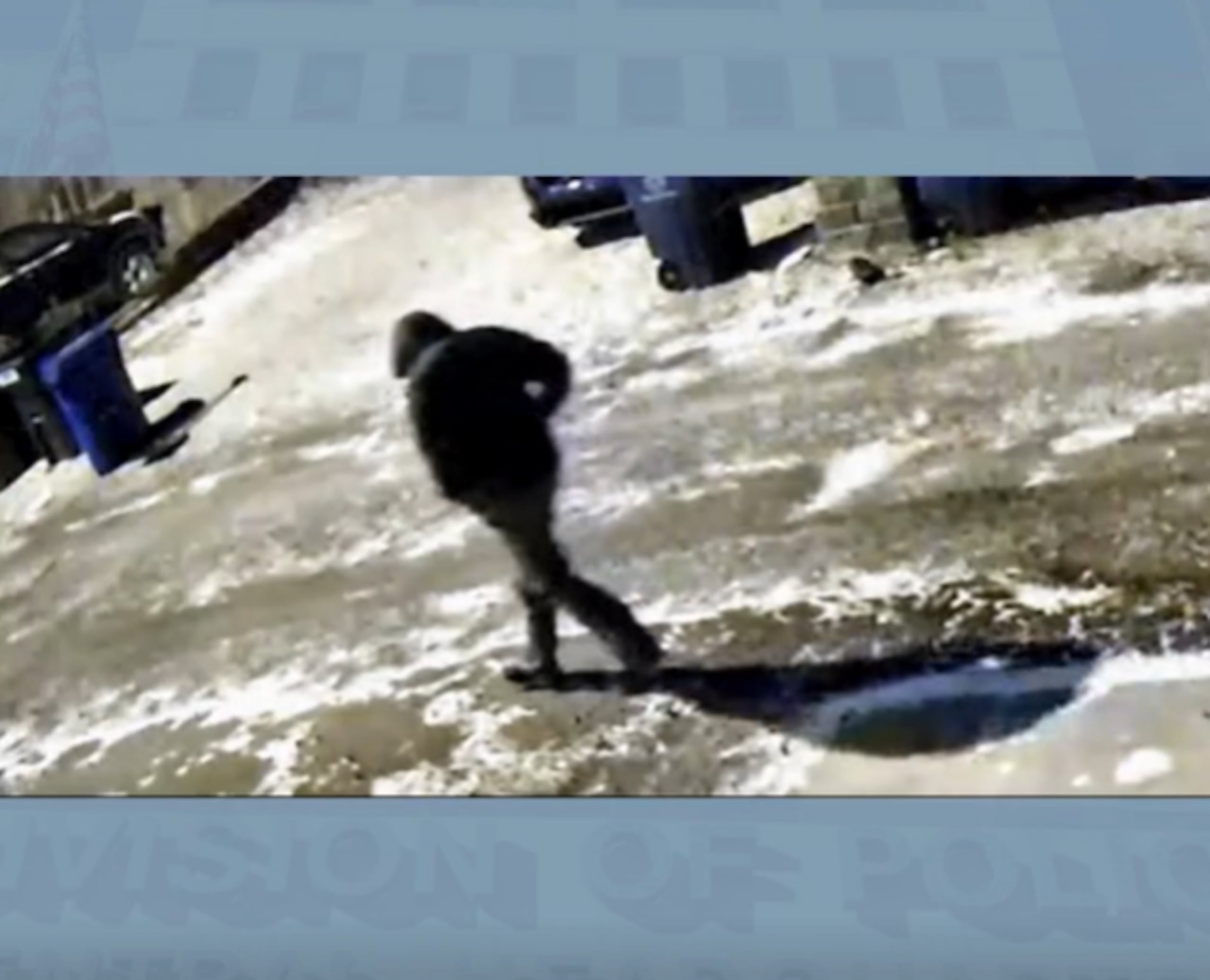 La policía publicó imágenes de seguridad de una persona de interés que la muestran caminando por un callejón cerca de la casa de la pareja durante las tres horas en las que los investigadores creen que fueron atacados.