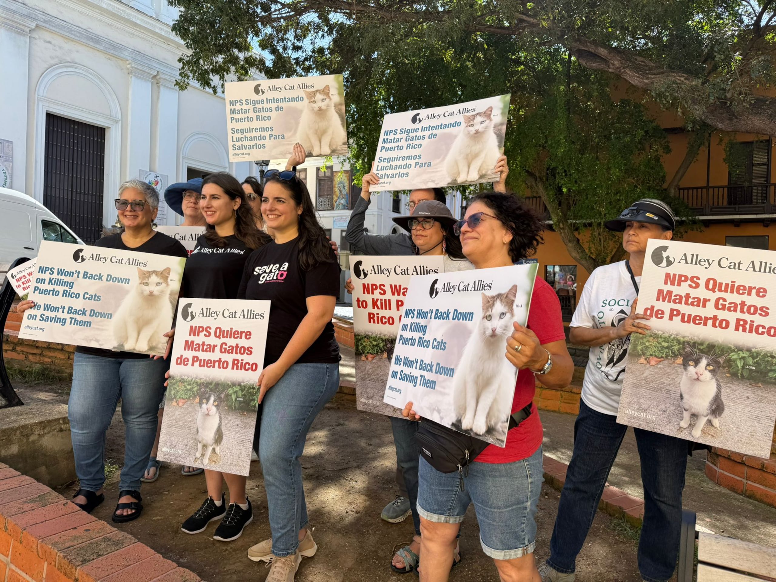 Manifestación en el Viejo San Juan contra el plan del Servicio de Parques Nacionales para remover felinos de la ciudad amurallada, el 25 de enero de 2025.