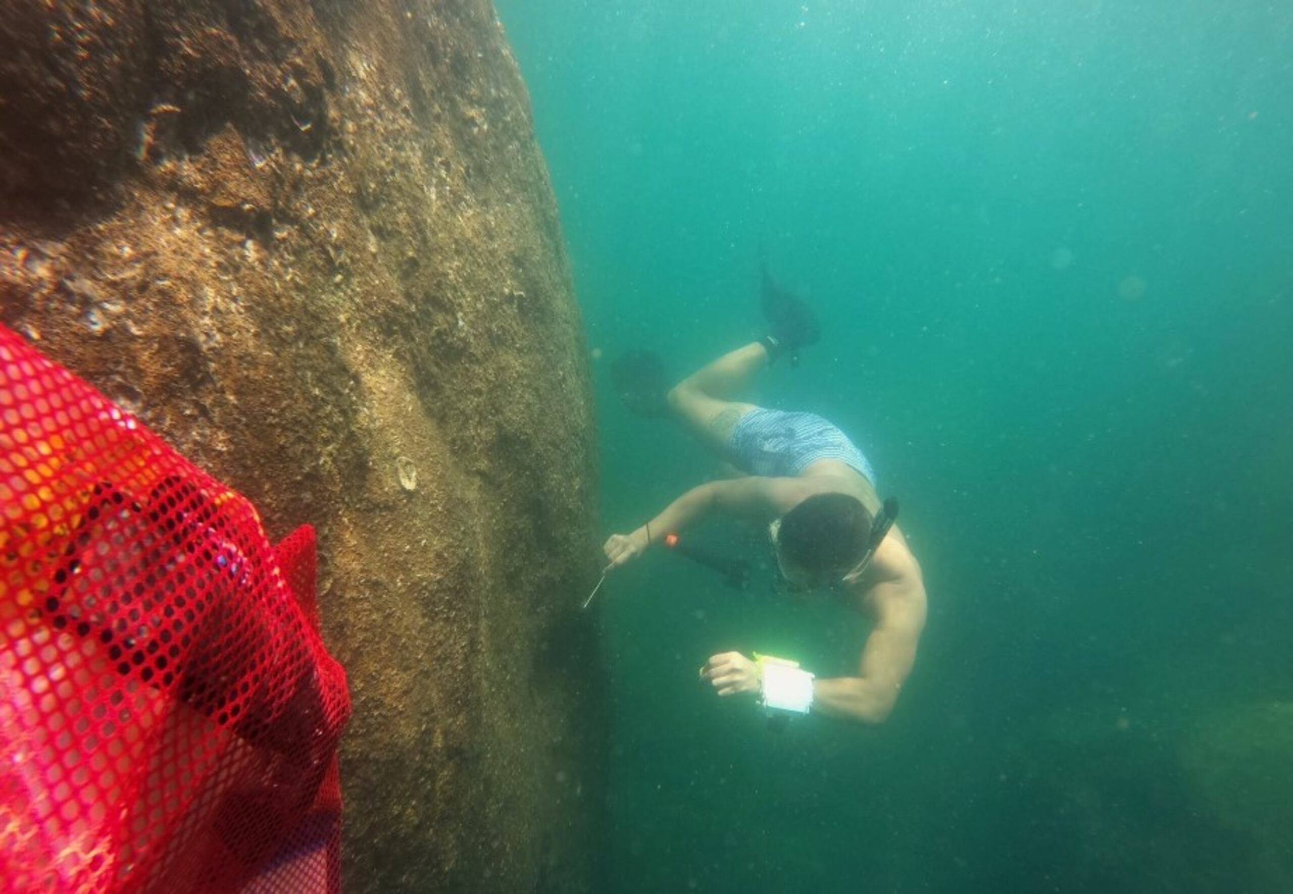 La investigación de Vilanova Cuevas tendrá repercuciones en varios lugares del mundo.