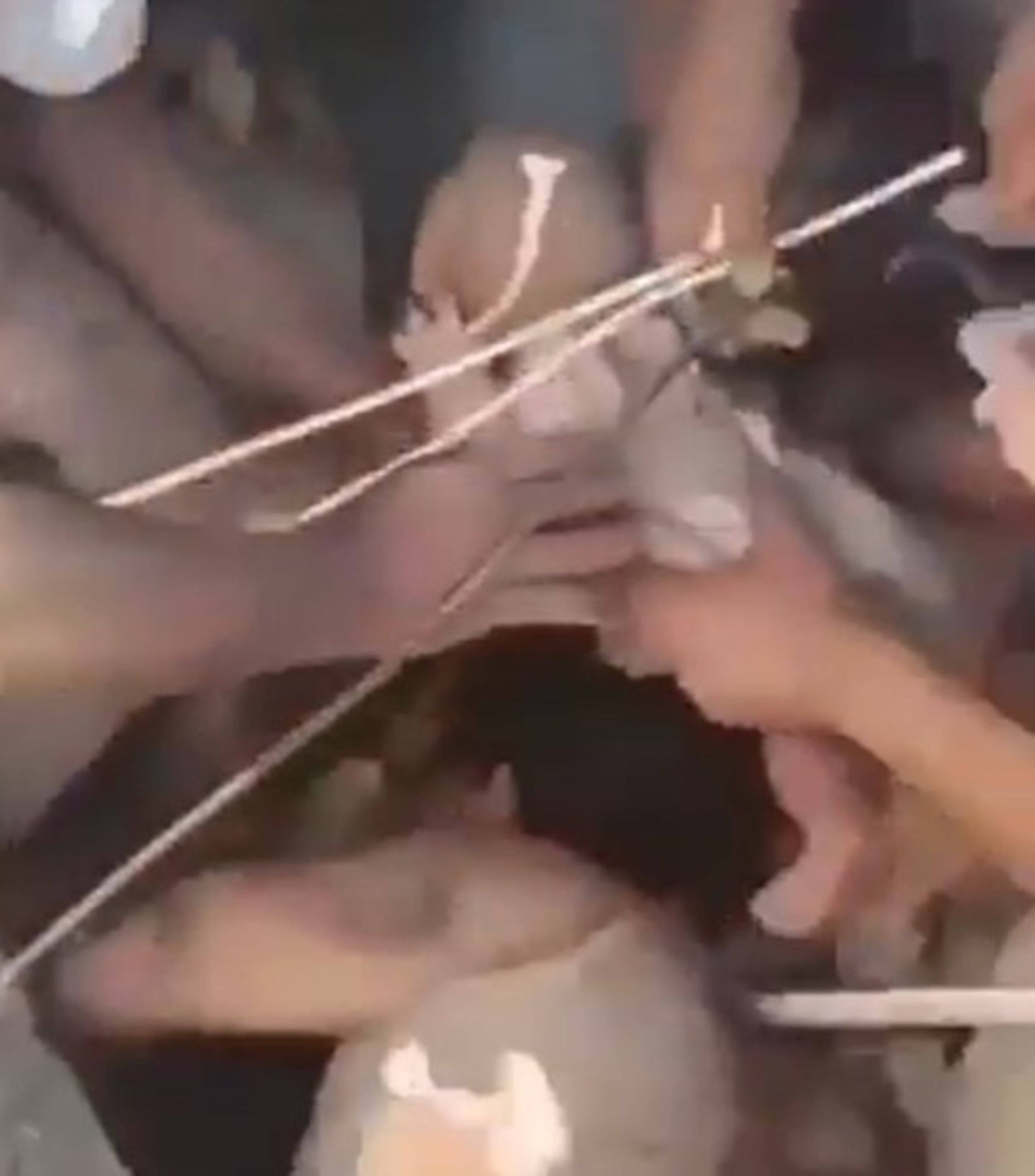 Cuando el menor y la mujer estuvieron a salvo, se escucharon varios gritos de celebración.