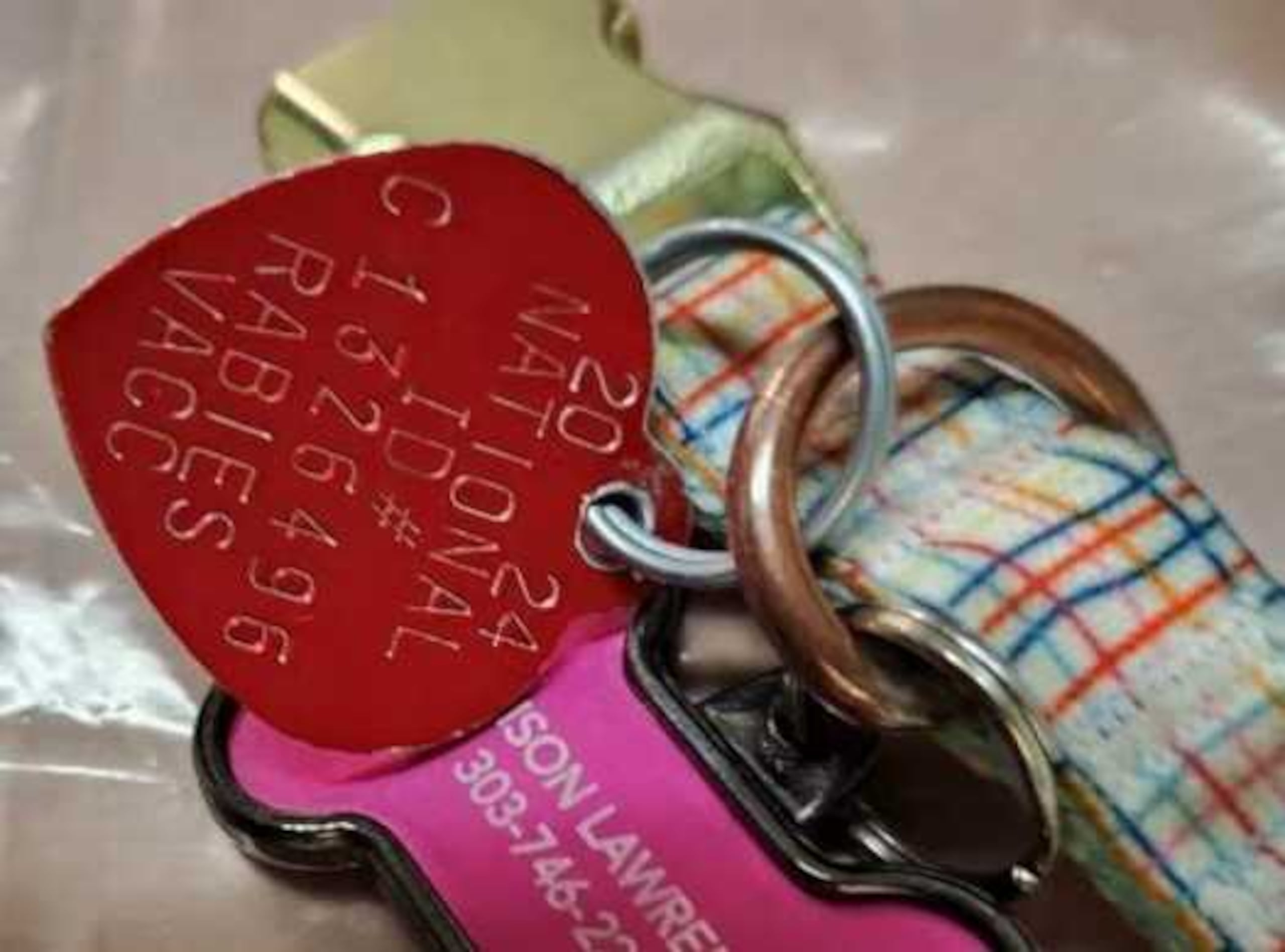 La sospechosa fue identificada gracias a la placa del perro y su chip.