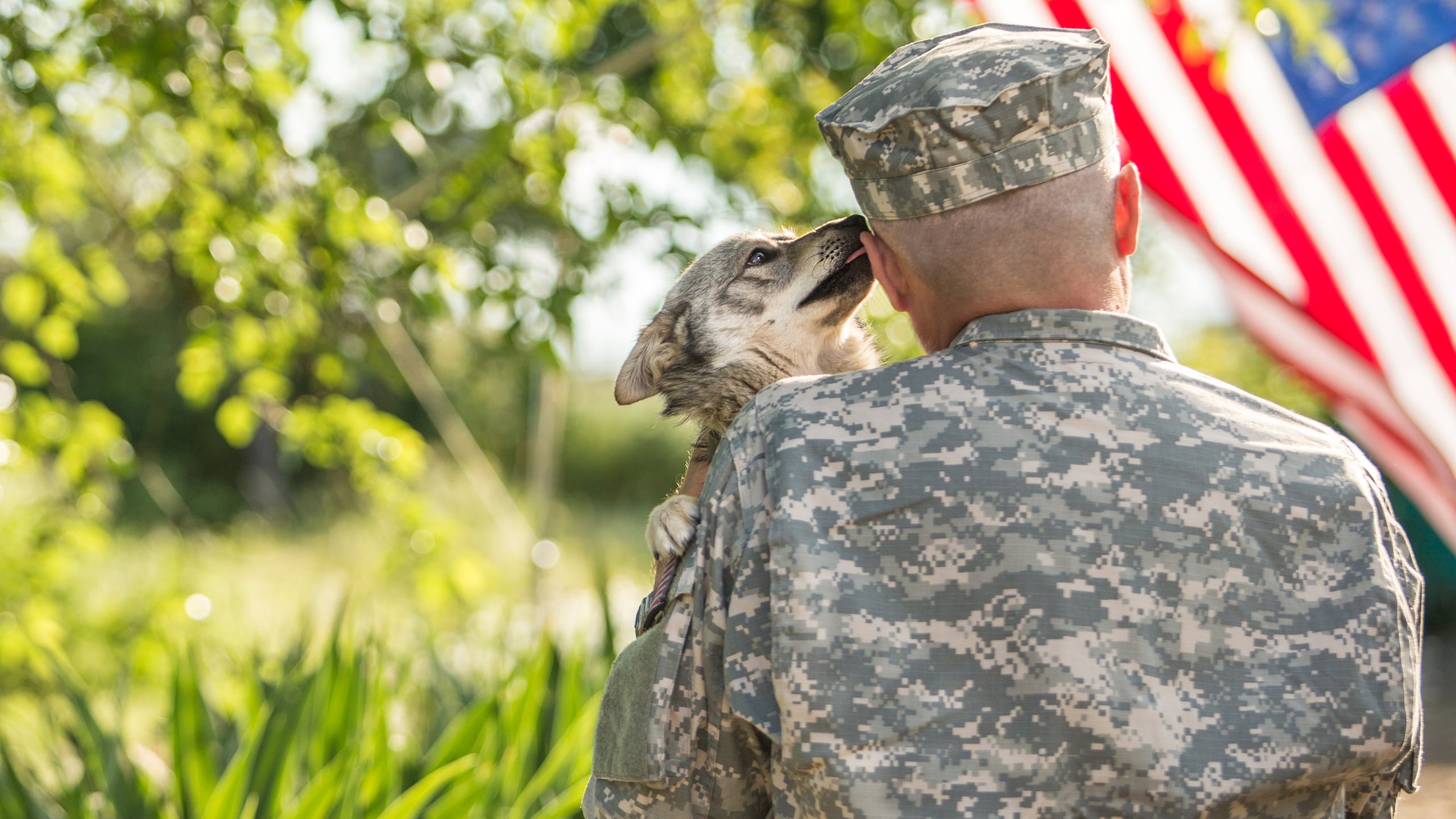 Tanto el veterano como el perro aprenderán juntos, fortaleciendo el vínculo desde el primer día.