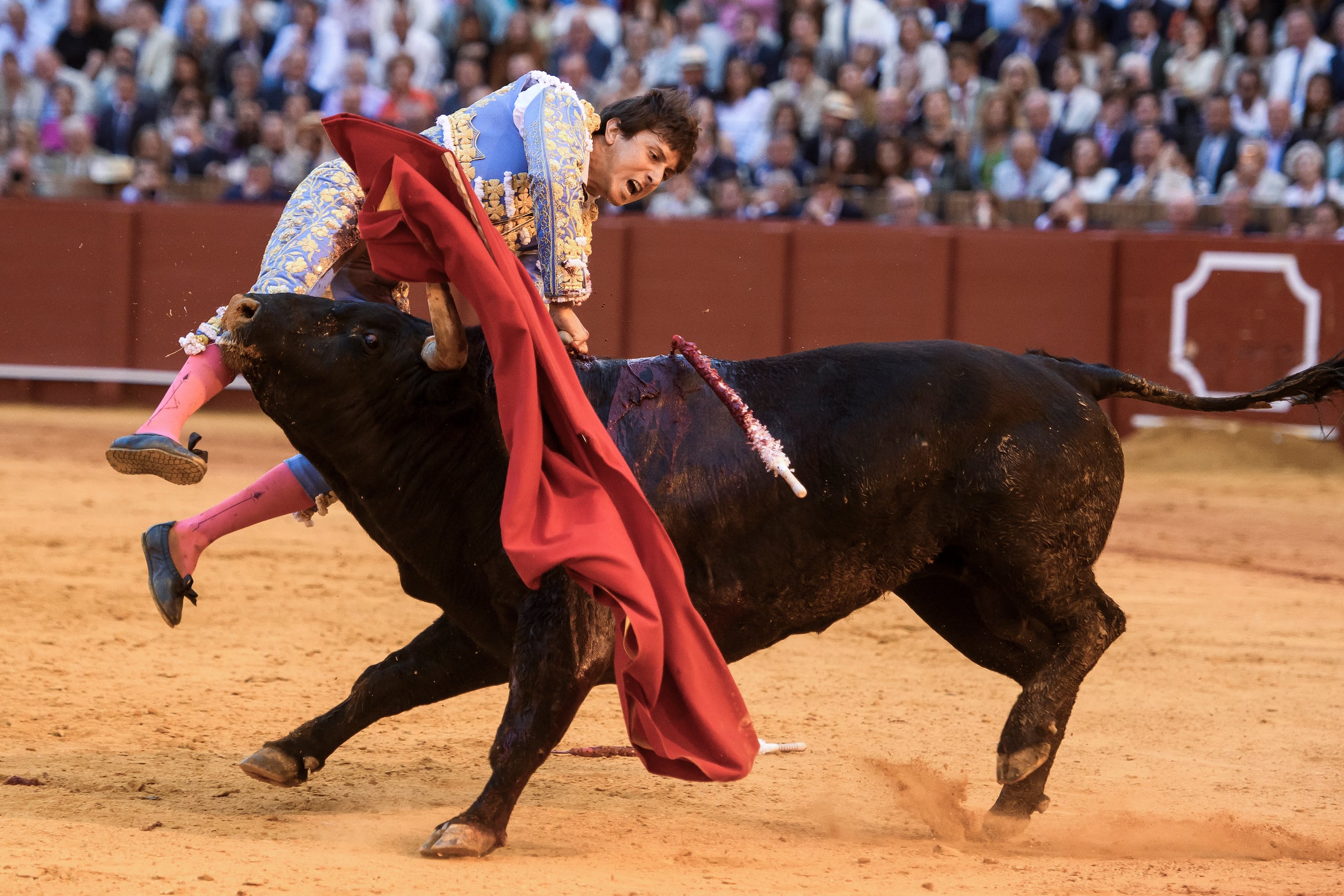 El diestro Roca Rey fue cogido al entrar a matar al quinto toro de la corrida de este jueves de la Feria de Abril de Sevilla, y sufrio una cornada en el muslo derecho con dos trayectorias que suman 35 centímetros, en la Plaza de Toros de La Maestranza de Sevilla. EFE/ Raúl Caro
