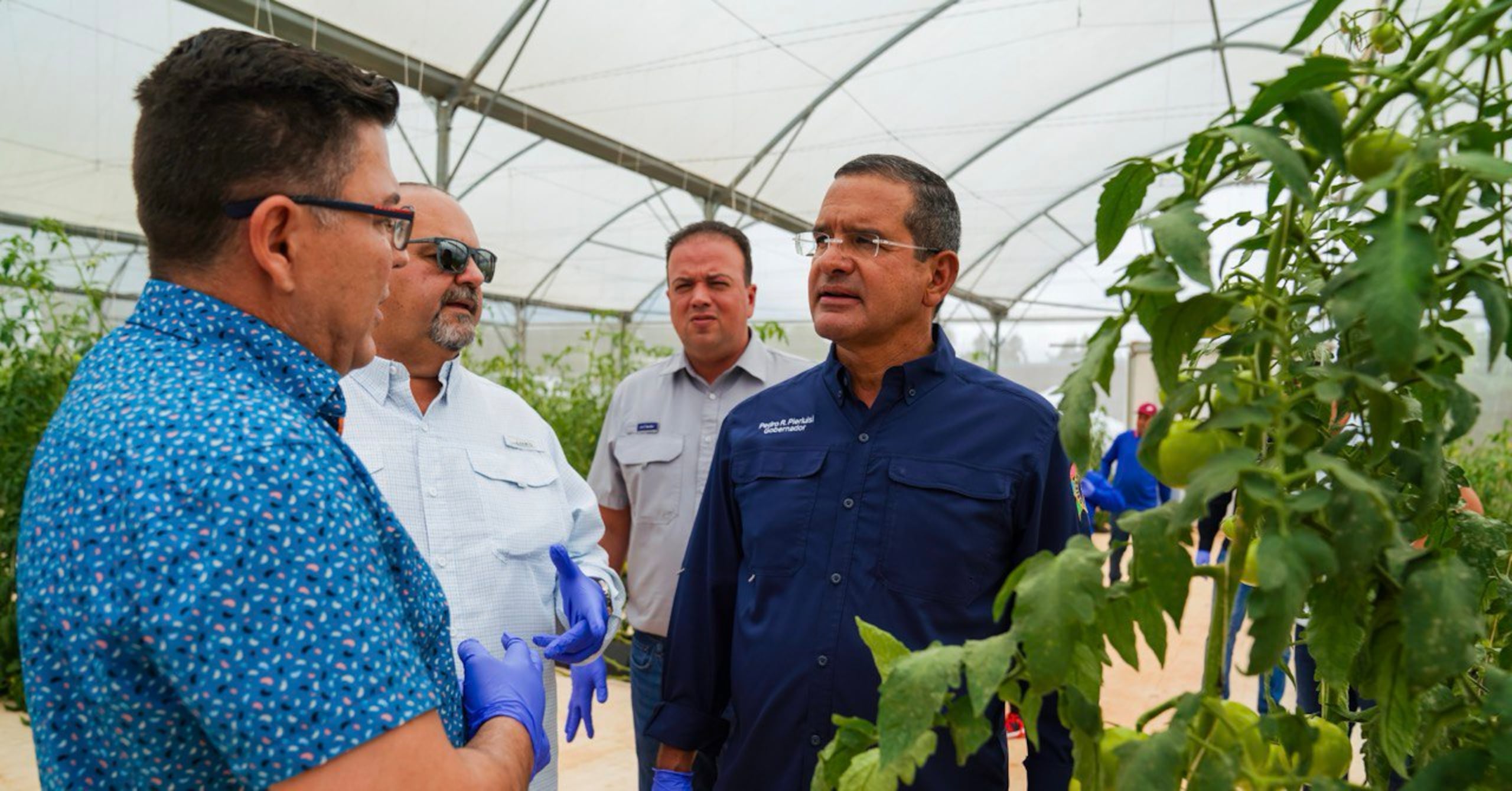 La ayuda federal apoyará la expansión de capacidades de procesamiento, fabricación, almacenamiento, transporte, venta al por mayor y distribución de productos agrícolas alimentarios producidos a nivel local.