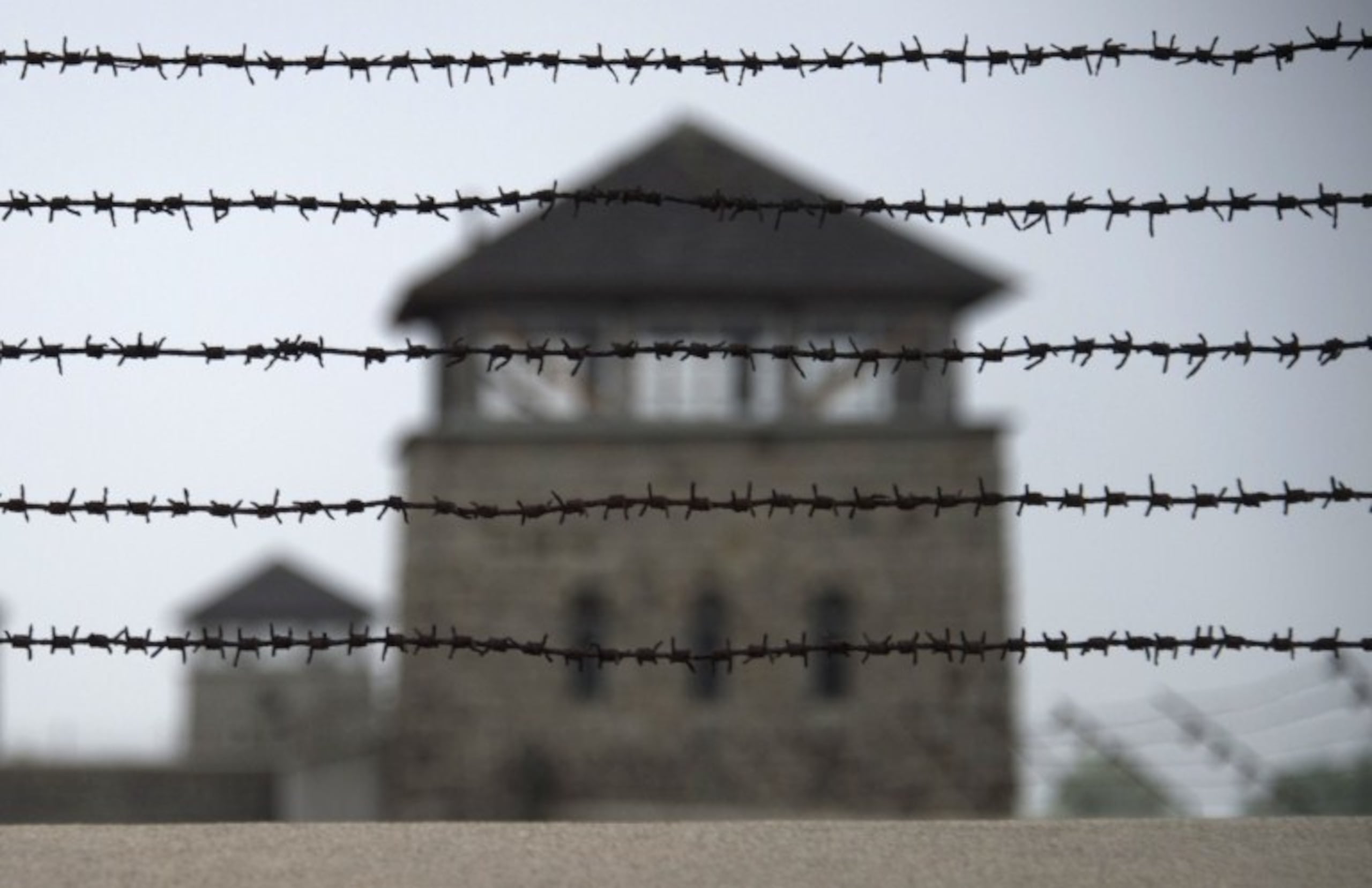 Esta imagen del 28 de abril de 2015 muestra la verja de alambres de púas que rodea lo que fue el campo de concentración nazi.