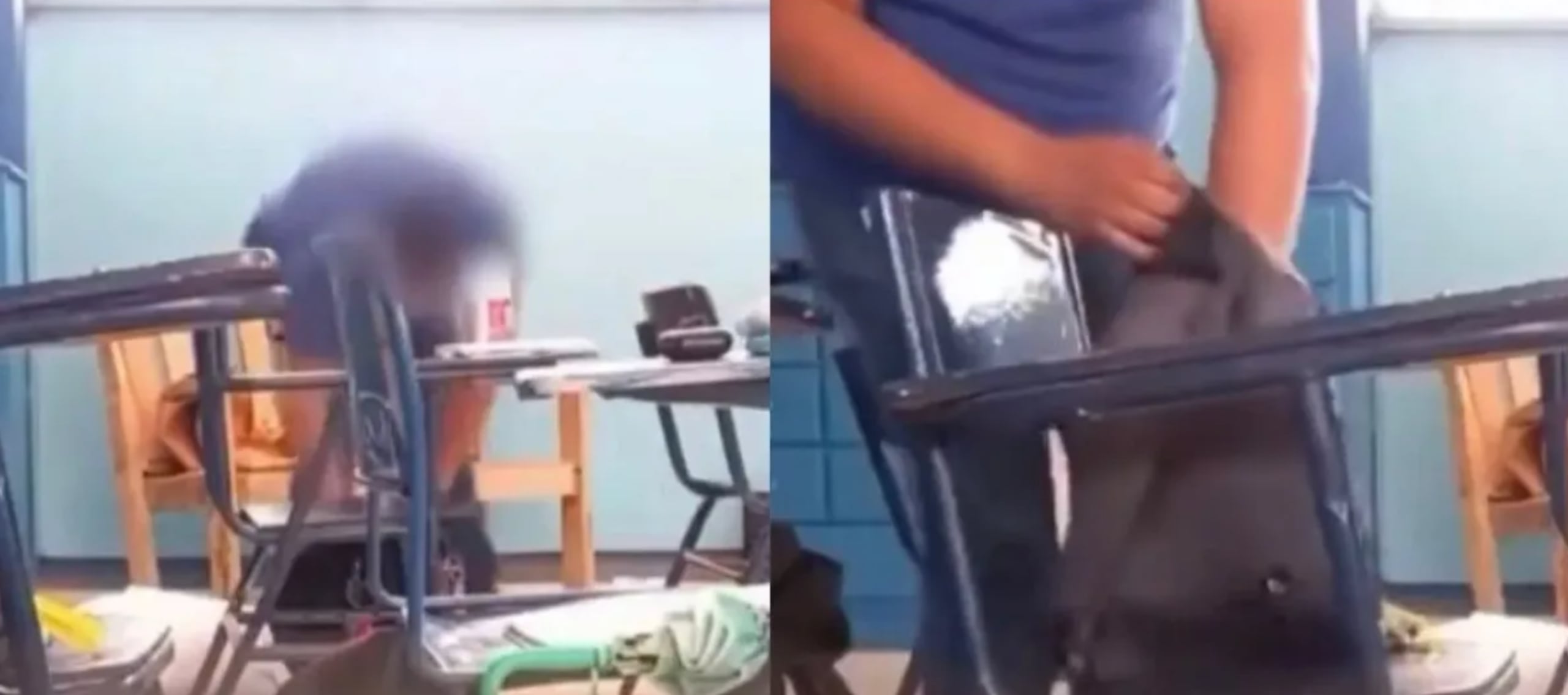El caso se volvió viral tras difundirse videos del docente revisando mochilas escolares.