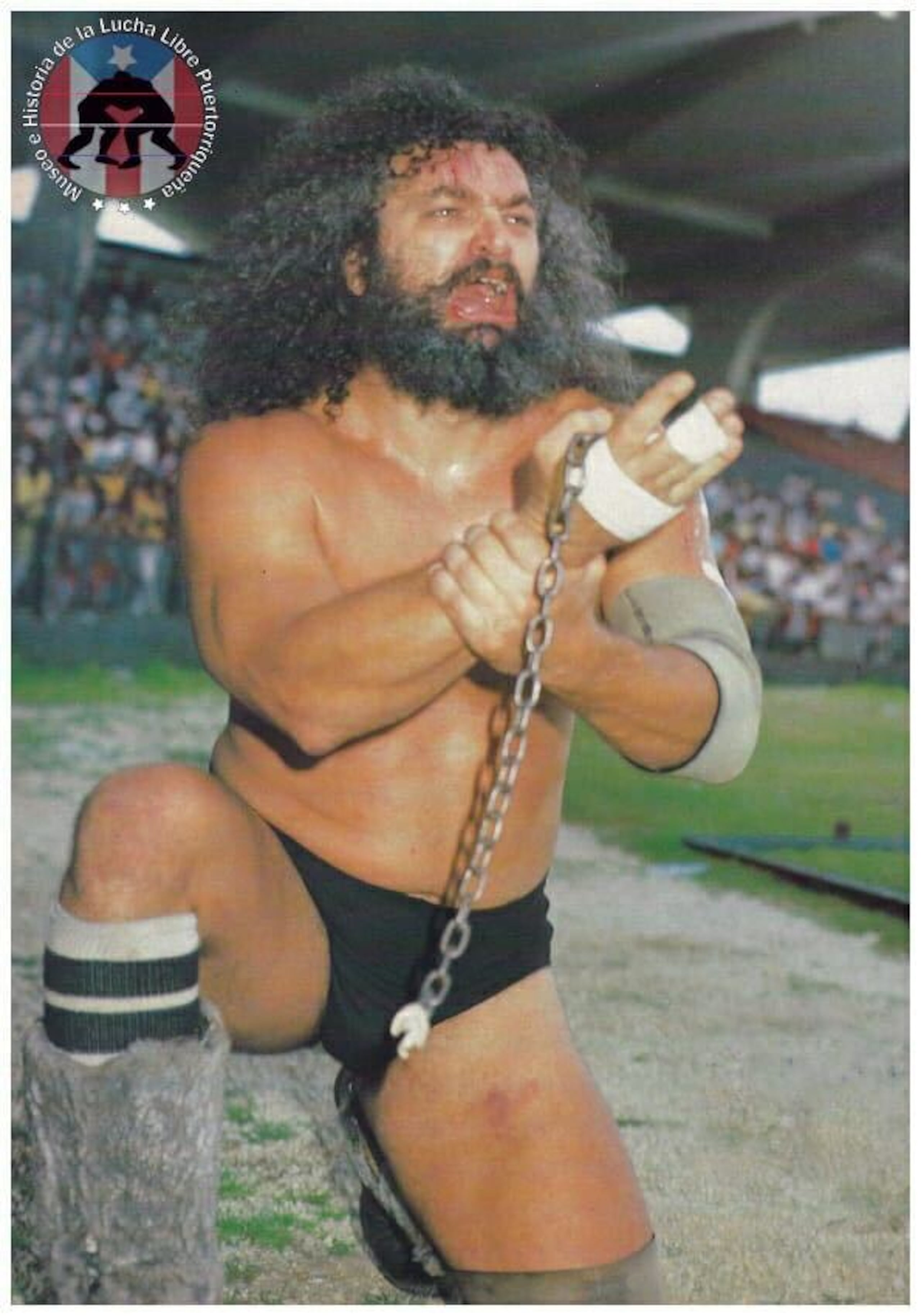 Bruiser Brody