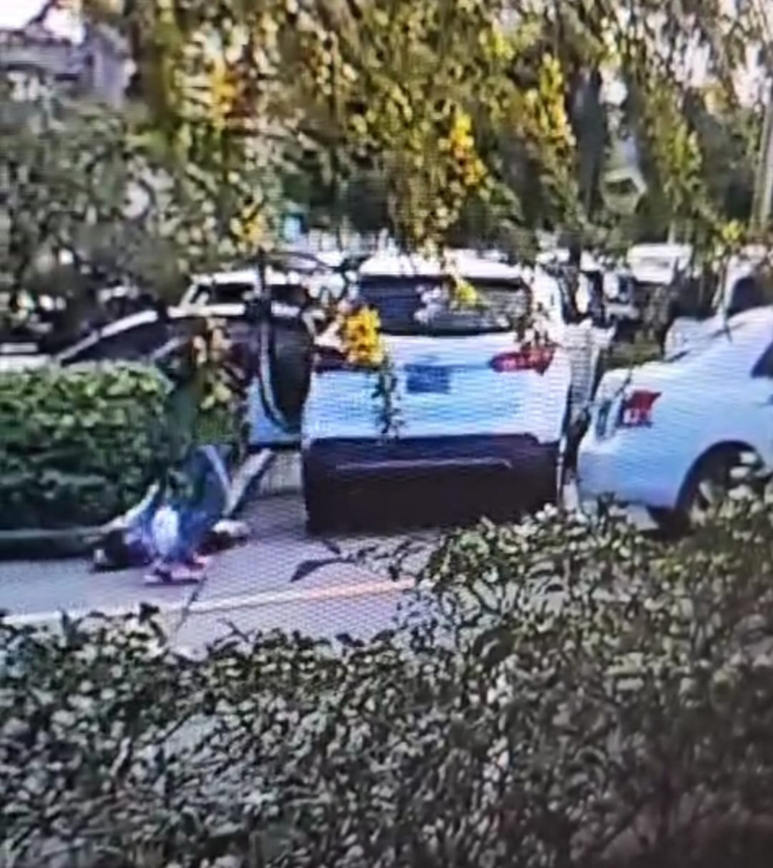 Dos hombres fueron acusados por asaltar a una septuagenaria en el centro comercial San Patricio Plaza, en Guaynabo.