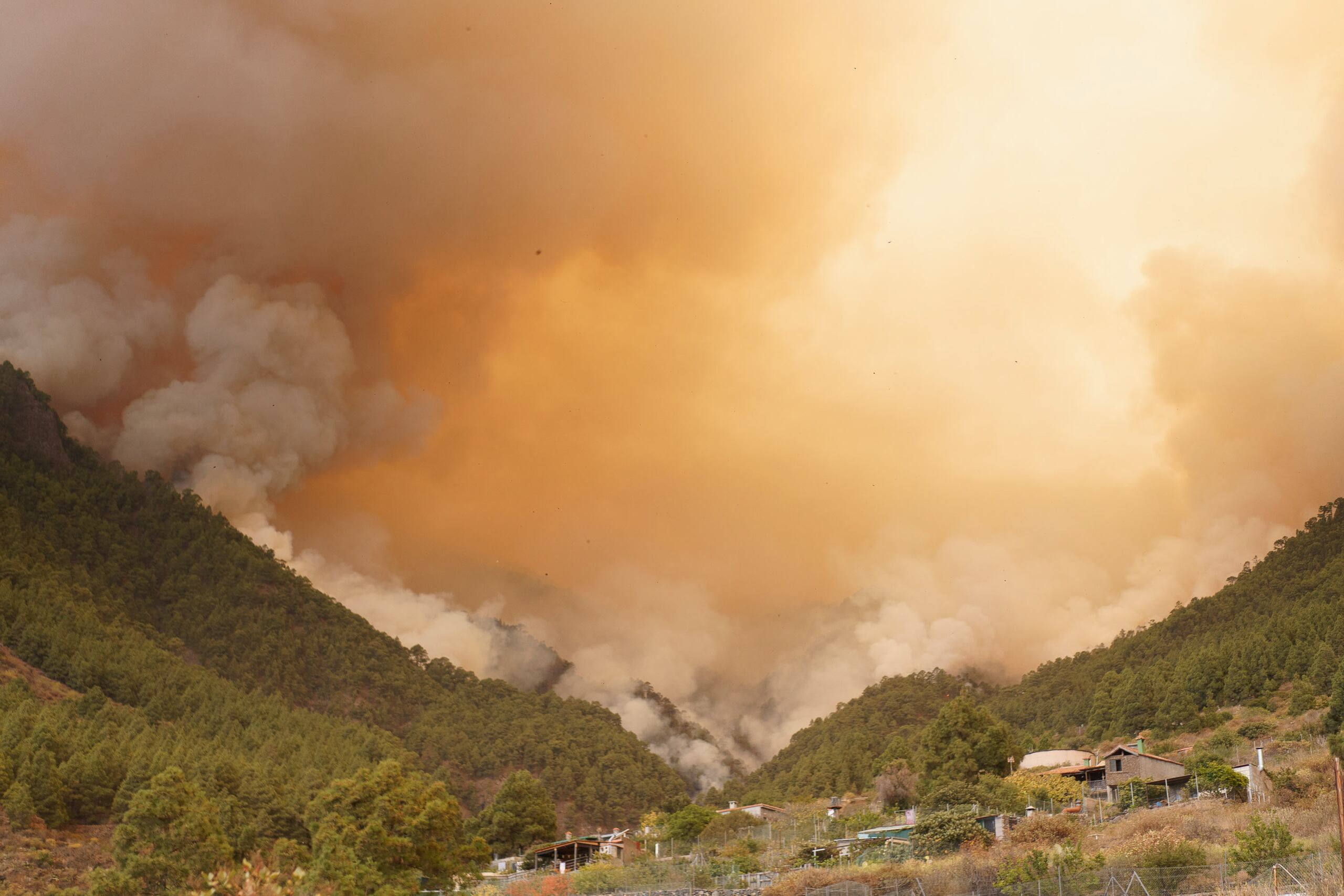 Imagen del fuego en la zona de los altos de Candelaria, en Tenerife.