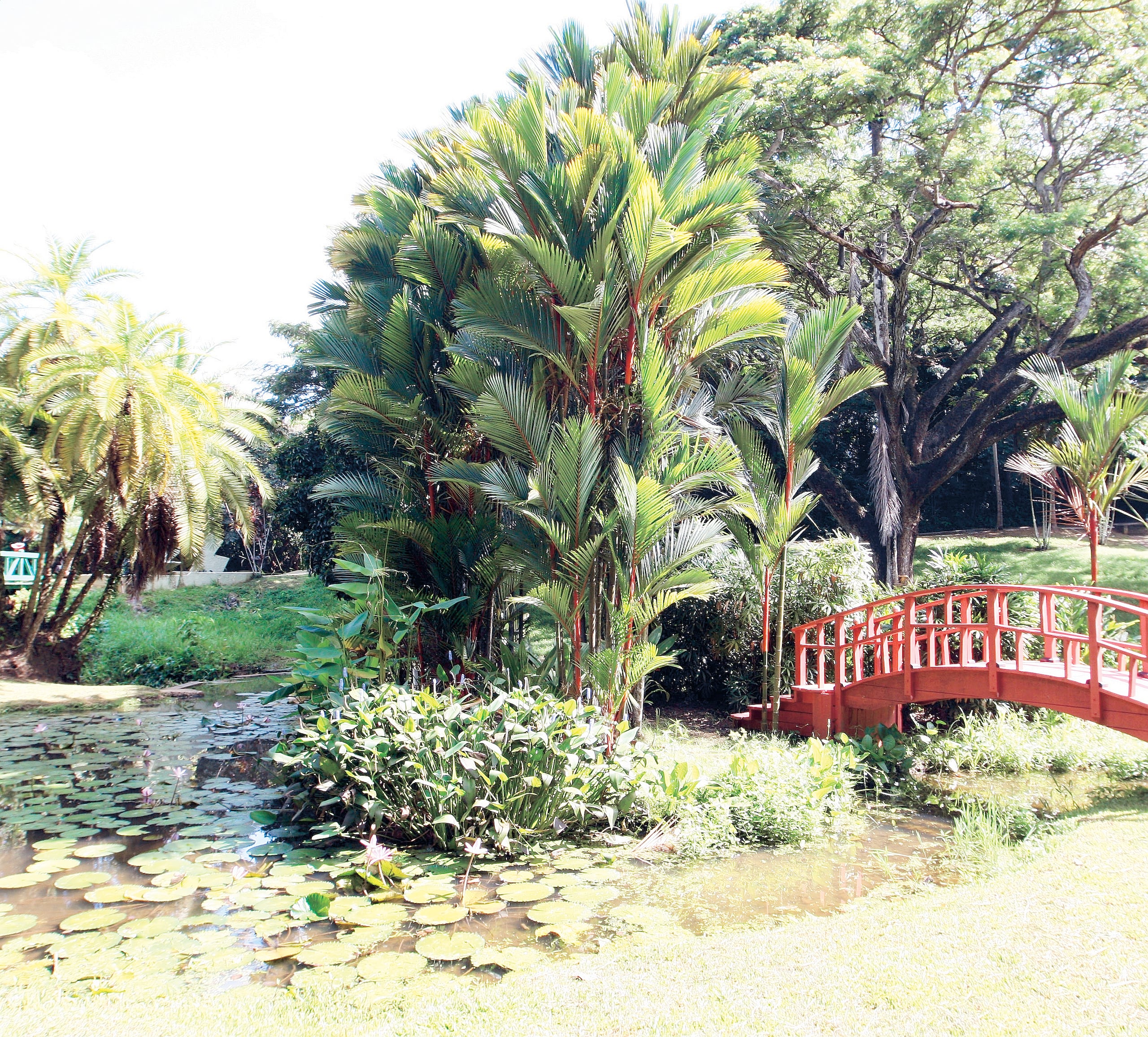 El evento tendrá lugar éste sábado y domingo, de 10 de la mañana a cinco de la tarde.