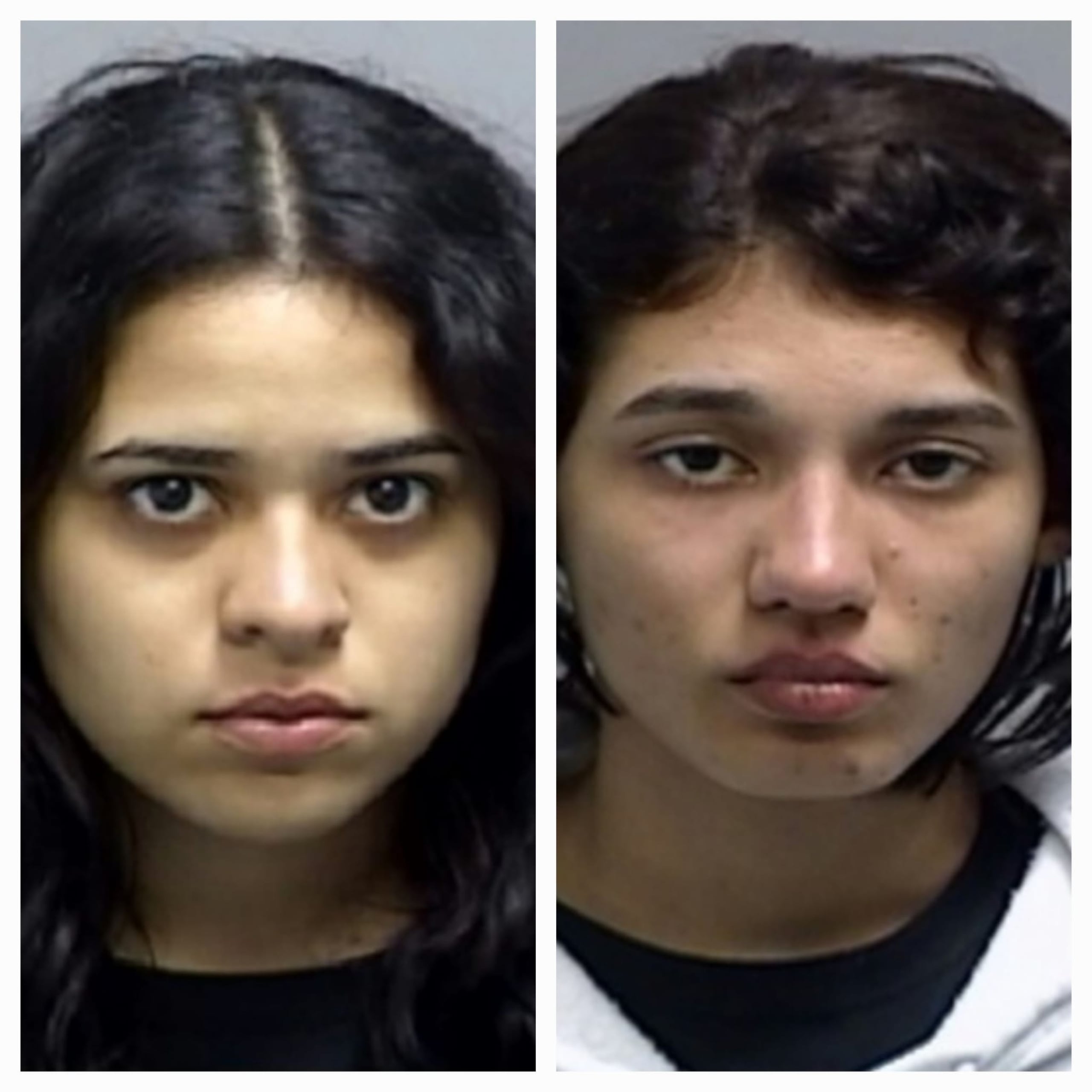 Dareliz J. Crespo Vázquez y Nannette Santiago Pérez, enfrentan cargos por apropiación de un vehículo sin consentimiento de su dueño al amparo de la Ley 8 de Protección Vehicular y por daños agravados.