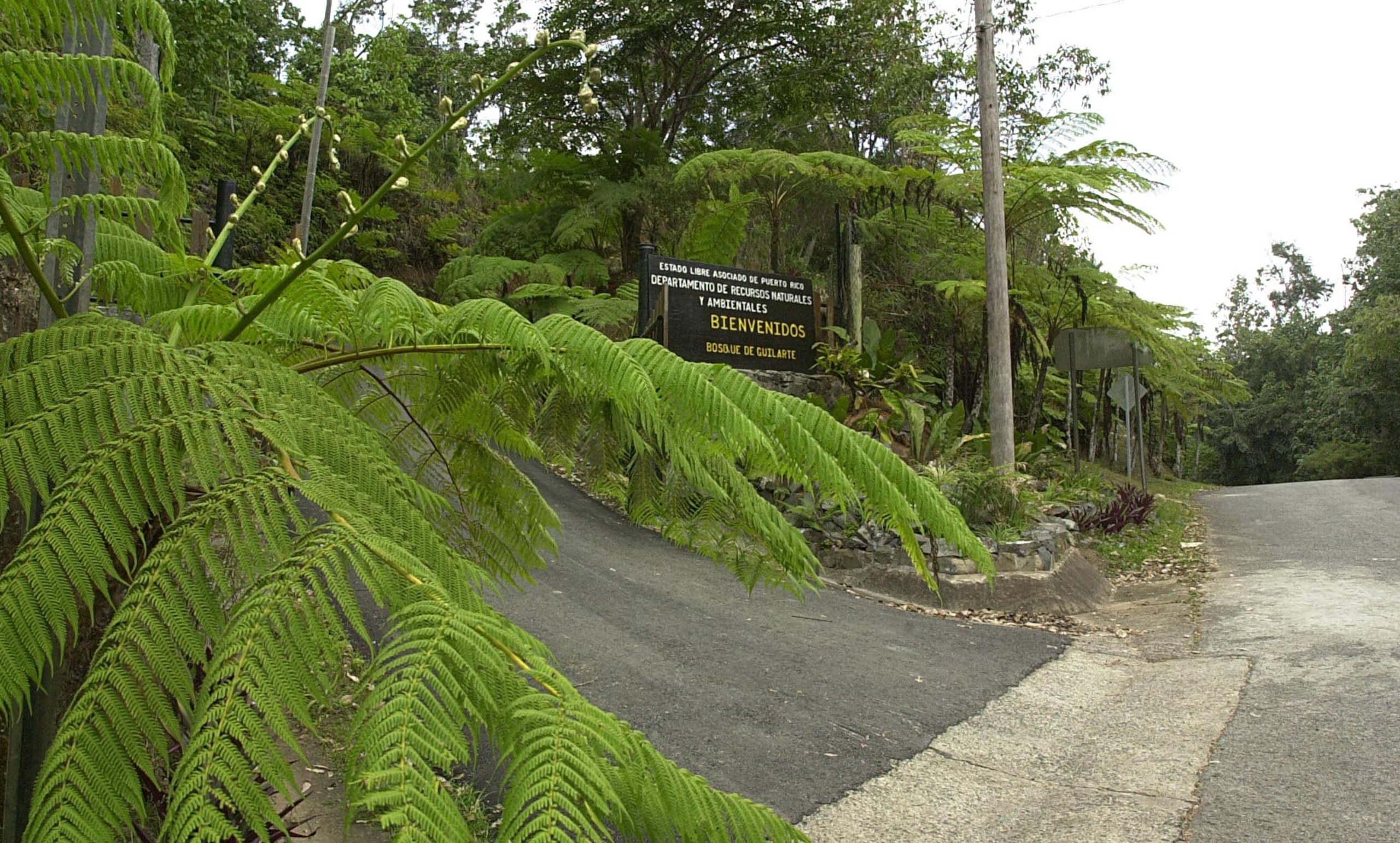 Entre otras cosas, entregarán mapas en el lugar.