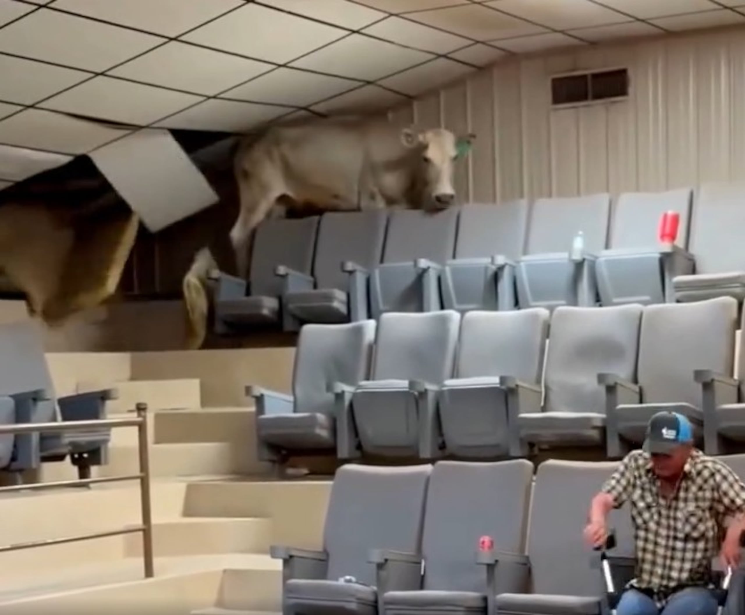 El incidente ocurrió el martes en Arkansas.