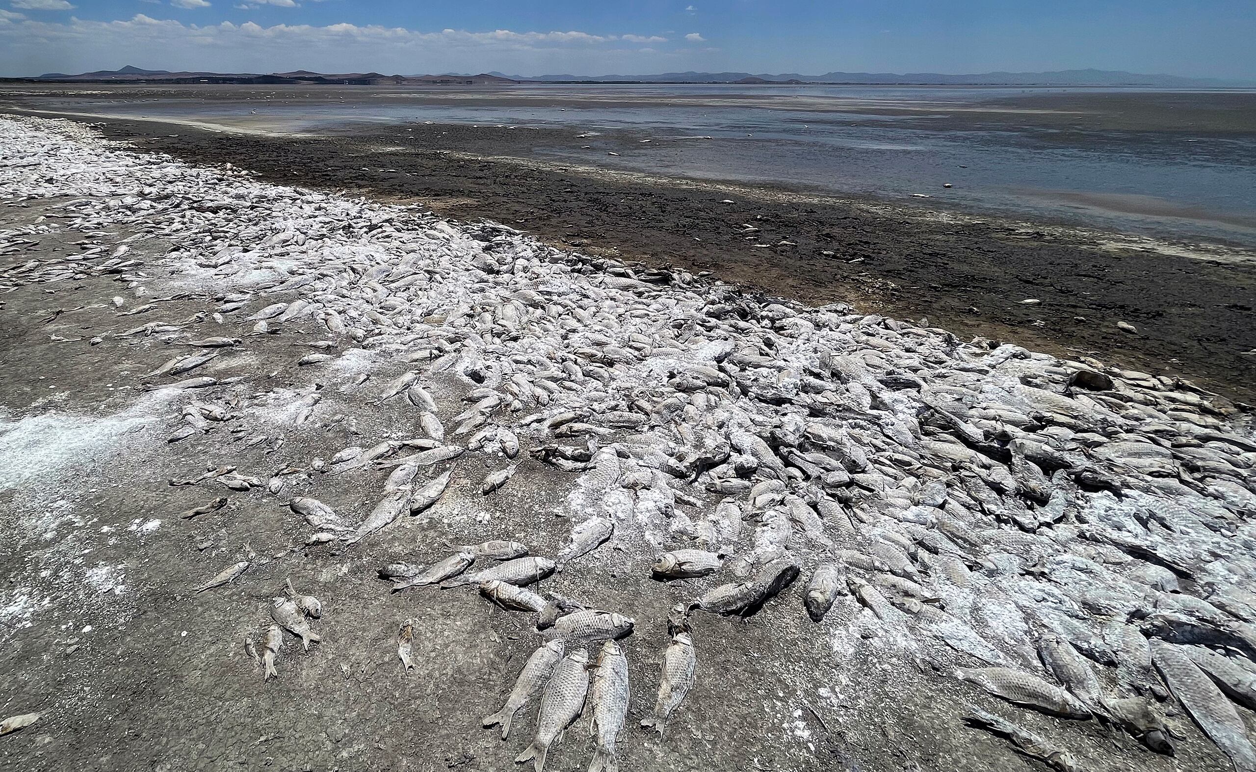 El hecho refleja la crisis hídrica de México, donde casi el 76 % del territorio afronta un grado de sequía que va de 'moderada' a 'excepcional', según el monitor de la Comisión Nacional del Agua (Conagua).
