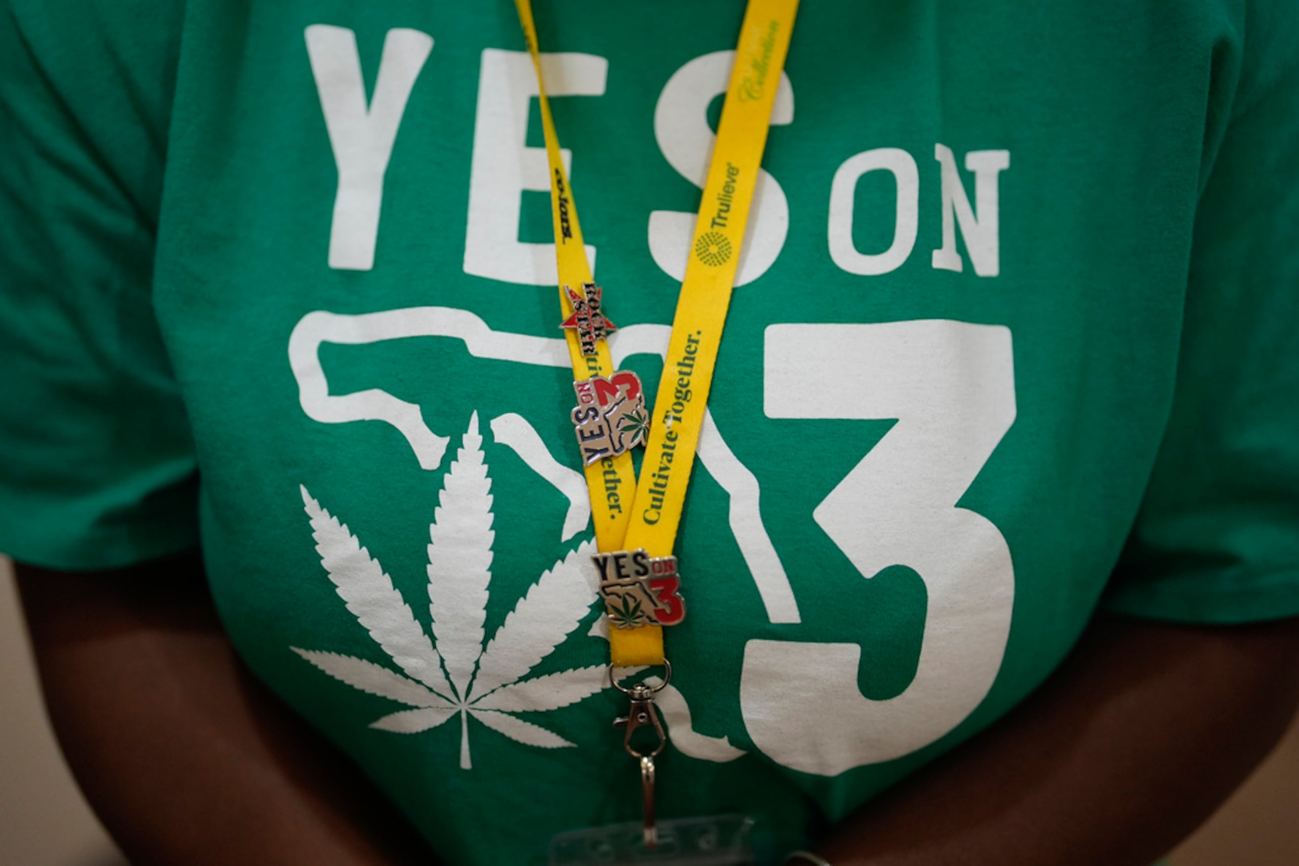 La campaña fue financiada principalmente por el mayor operador de marihuana medicinal de Florida, Trulieve, que había proporcionado casi 145 millones de dólares de los 153 millones de la campaña hasta finales de octubre.