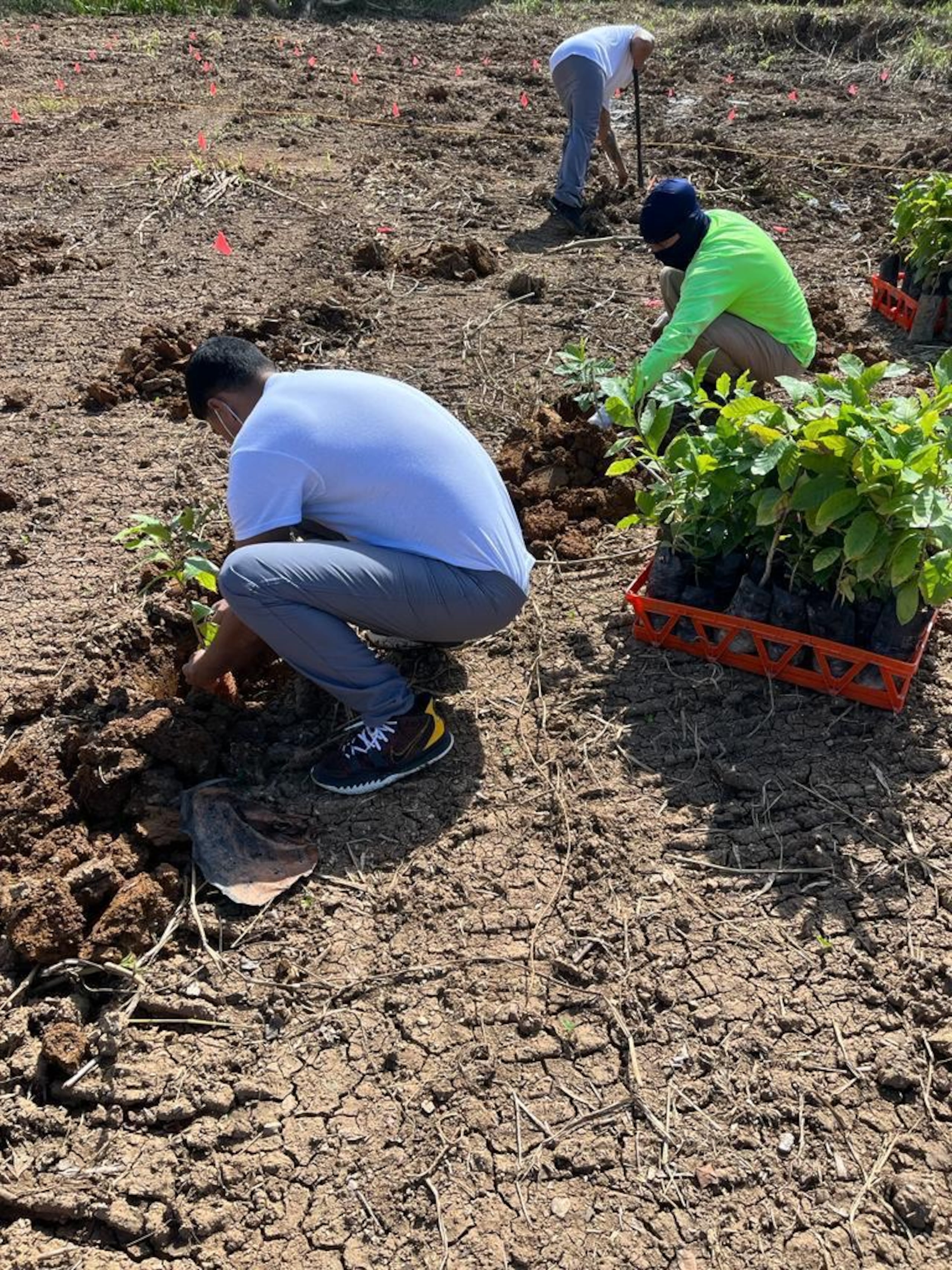 Incorporan en Mayagüez la novena cooperativa de confinados. Suministrada