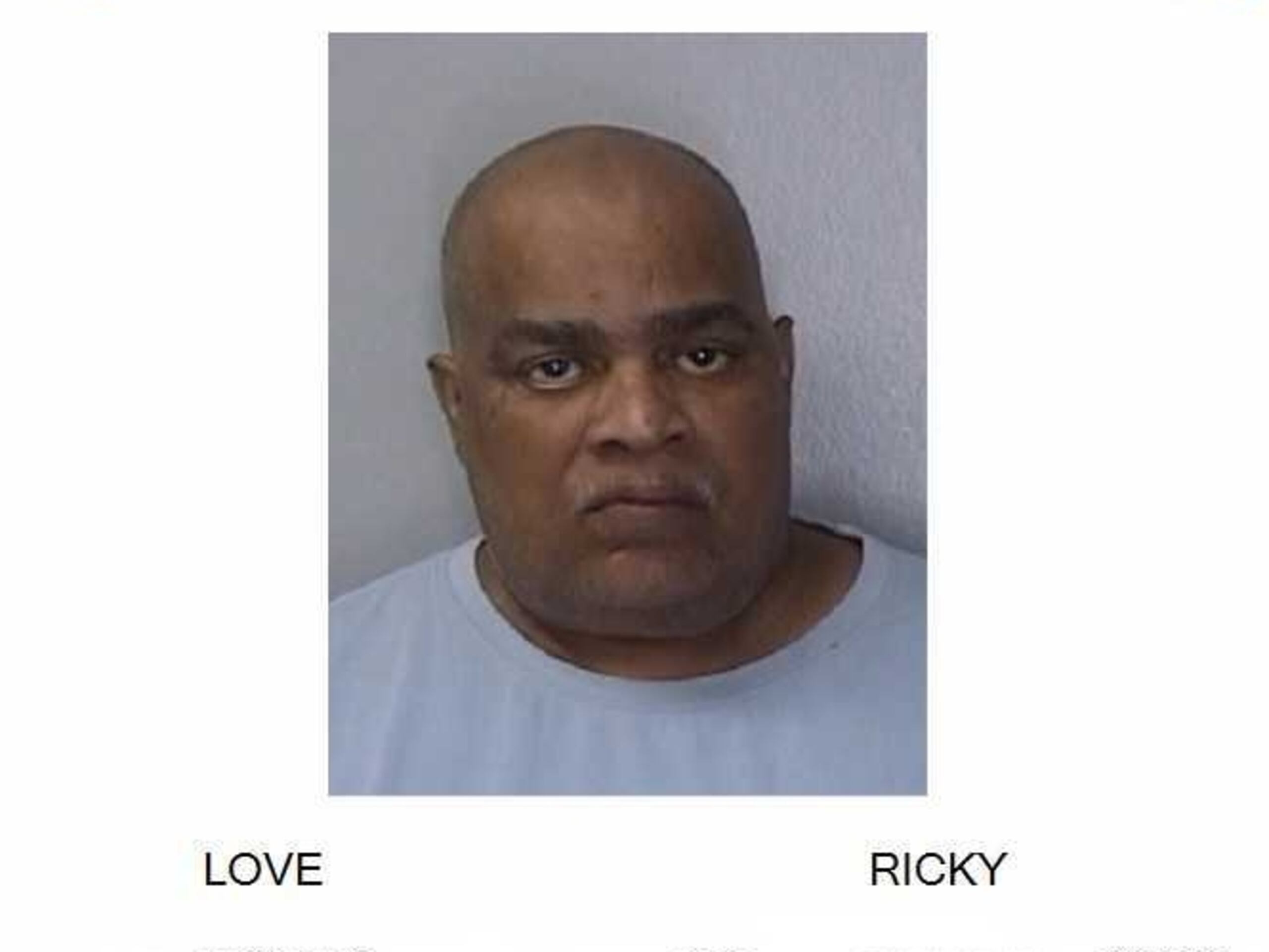 Love esta acusado por maltrato agravado de animales e imprudencia o negligencia crasa al manejar un vehículo de motor, tras el robo junto a otro individuo, de un perro al que atropellaron en un intento de escapar.