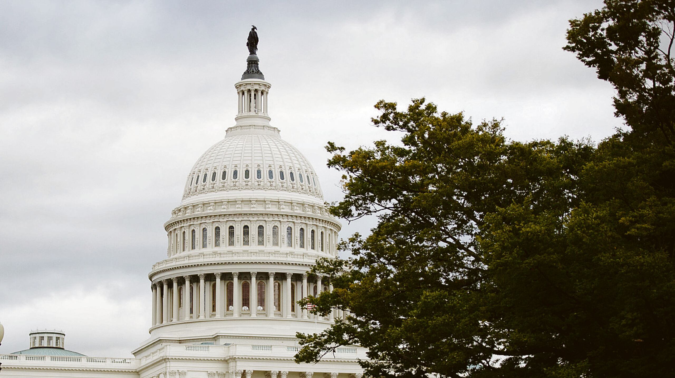 teresa.canino@gfrmedia.com