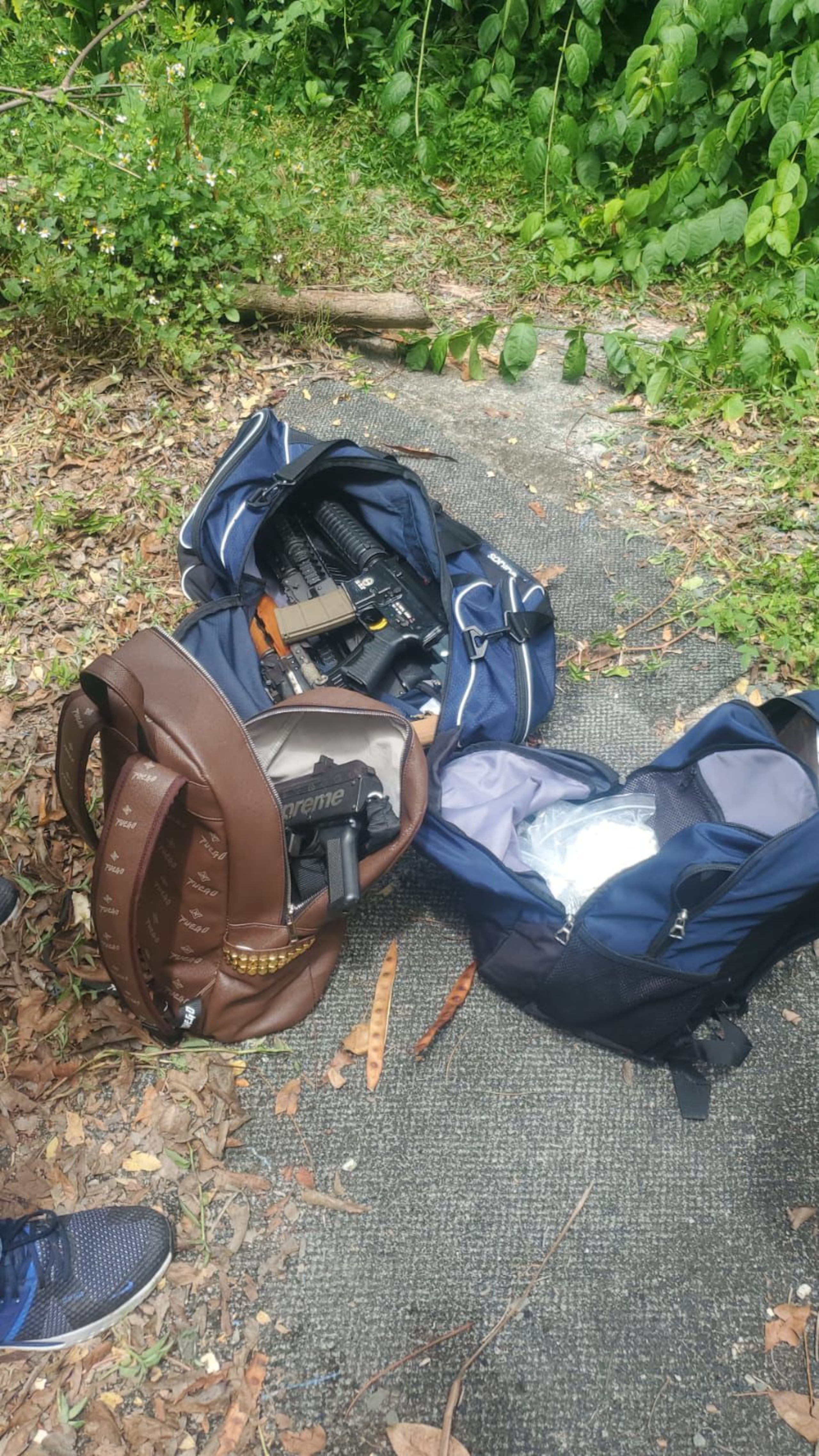 La Unidad Canina de la Policía Municipal de Carolina ocupó en uno de los callejones del residencial Sabana Abajo, rifles, el arma de reglamento y el radio del agente Eliezer Ramos Vélez, asesinado por gatilleros.